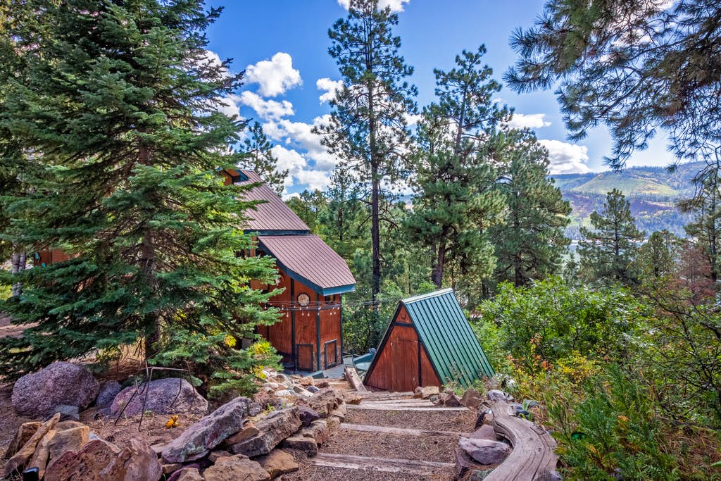 cabin surrounded by pine trees in southwest colorado