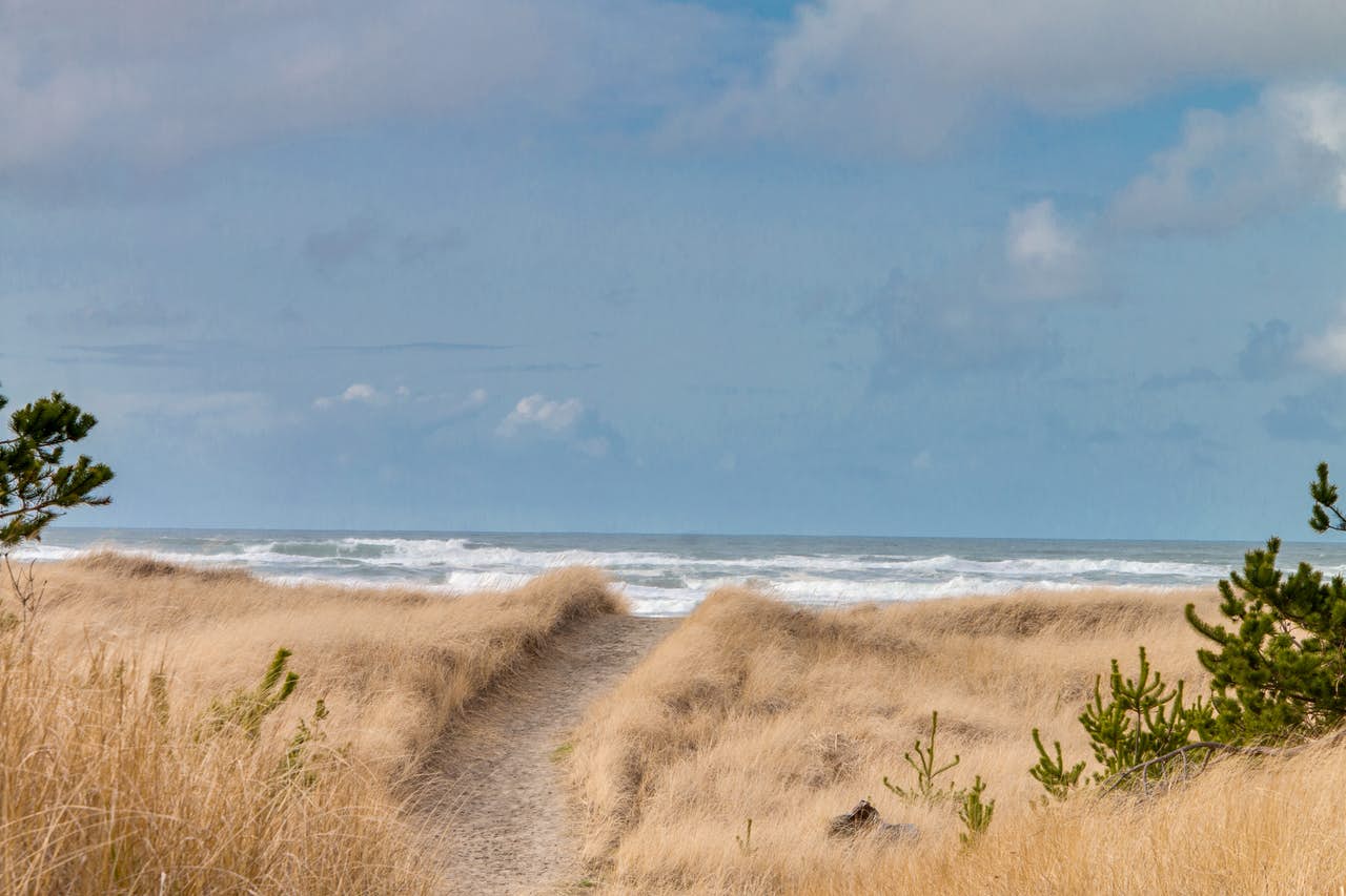Sandy path towards the shore of Long Beach, WA