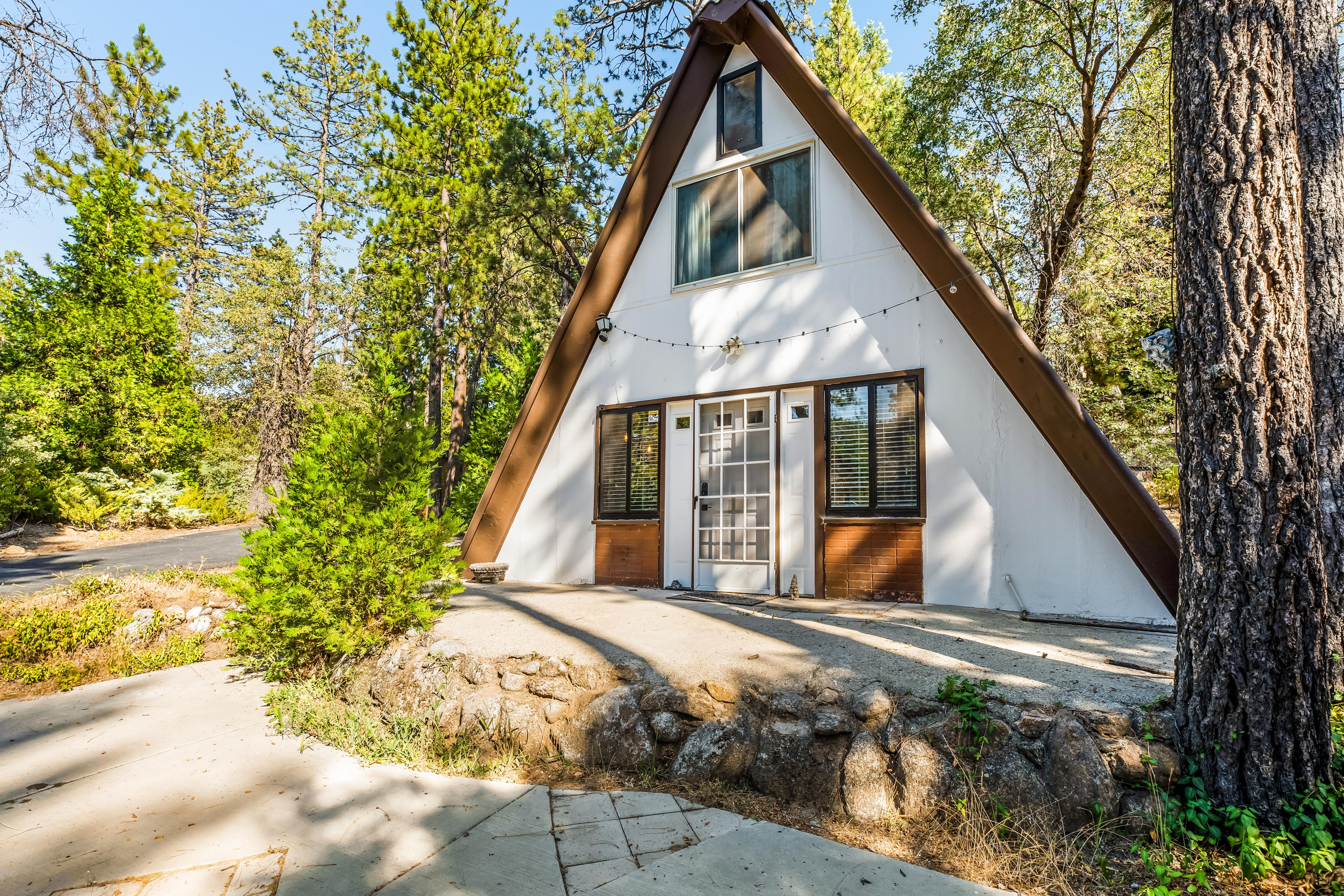 PetFriendly Vacation Rentals, Cabins, Beach Homes, Condos Vacasa