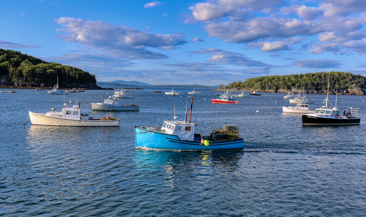 Boats in Bar Harbor
