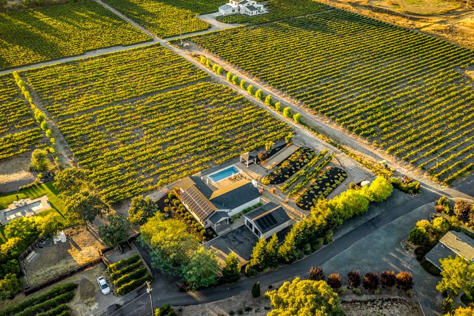Drone shot of a rental on a vineyard in Sonoma, CA.