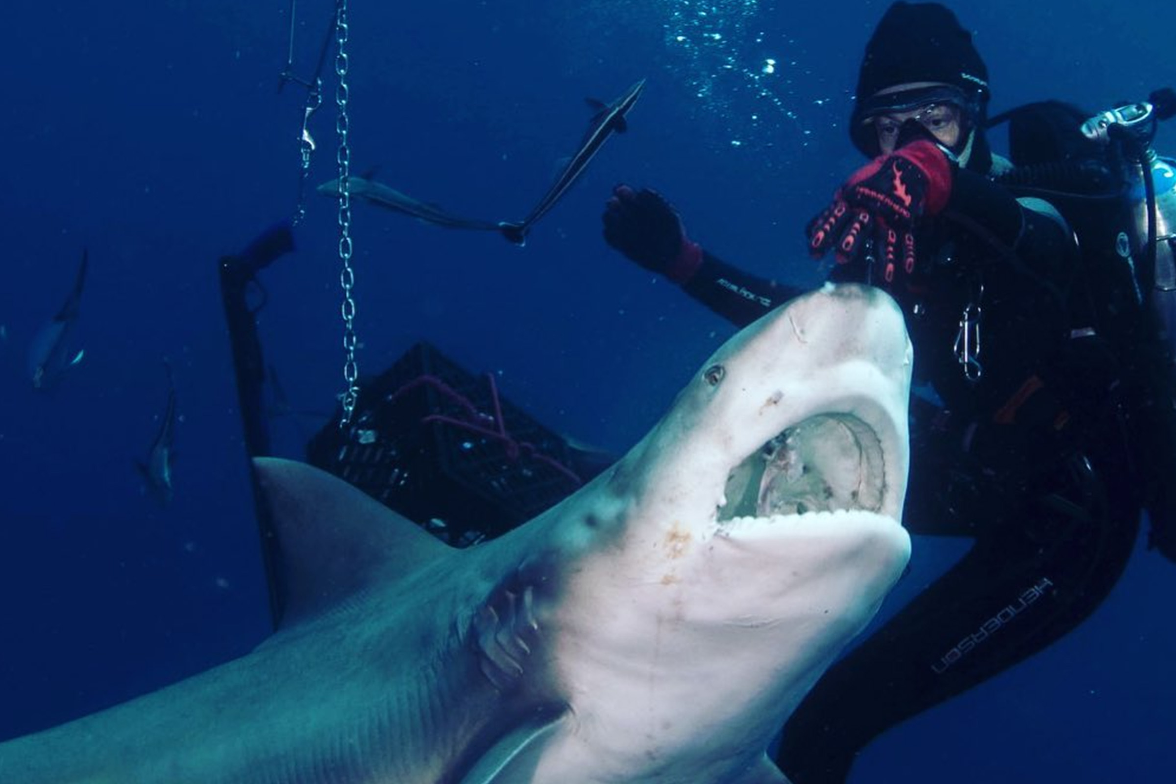 The Best City Guide to 30A, FL