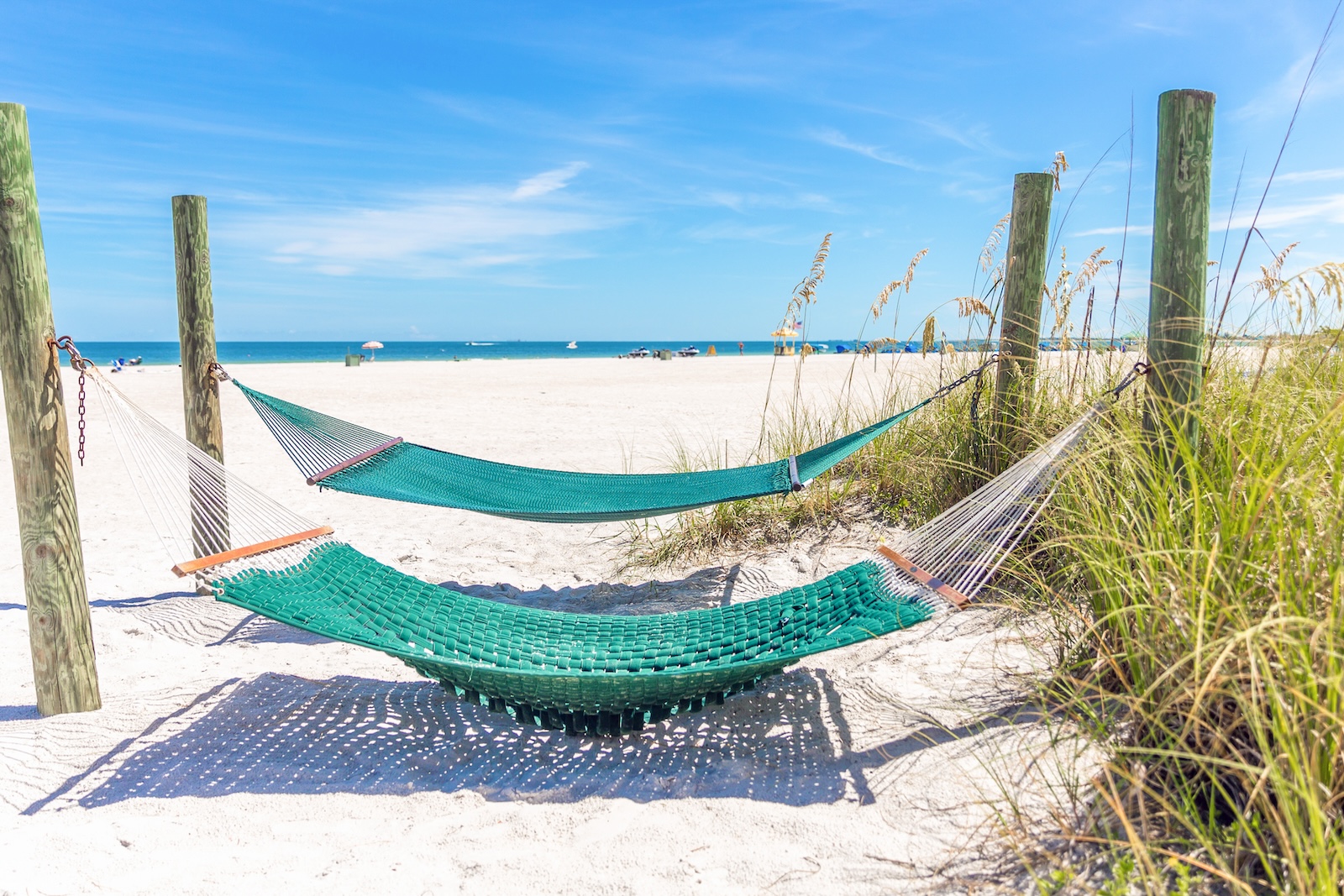 Hammocks along the North Beach, FL coast.