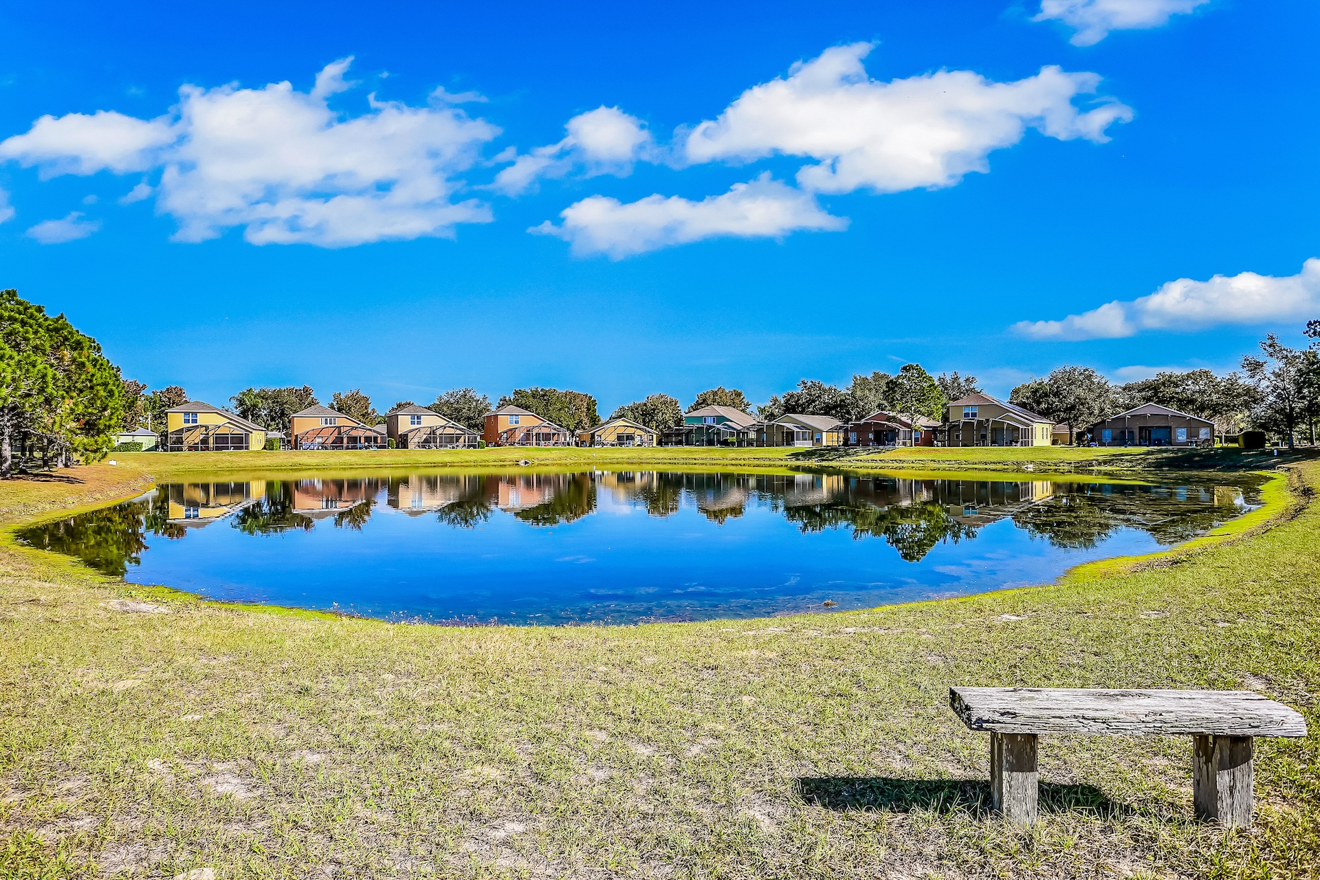 A bench looking at a pond in Clermont, Florida.