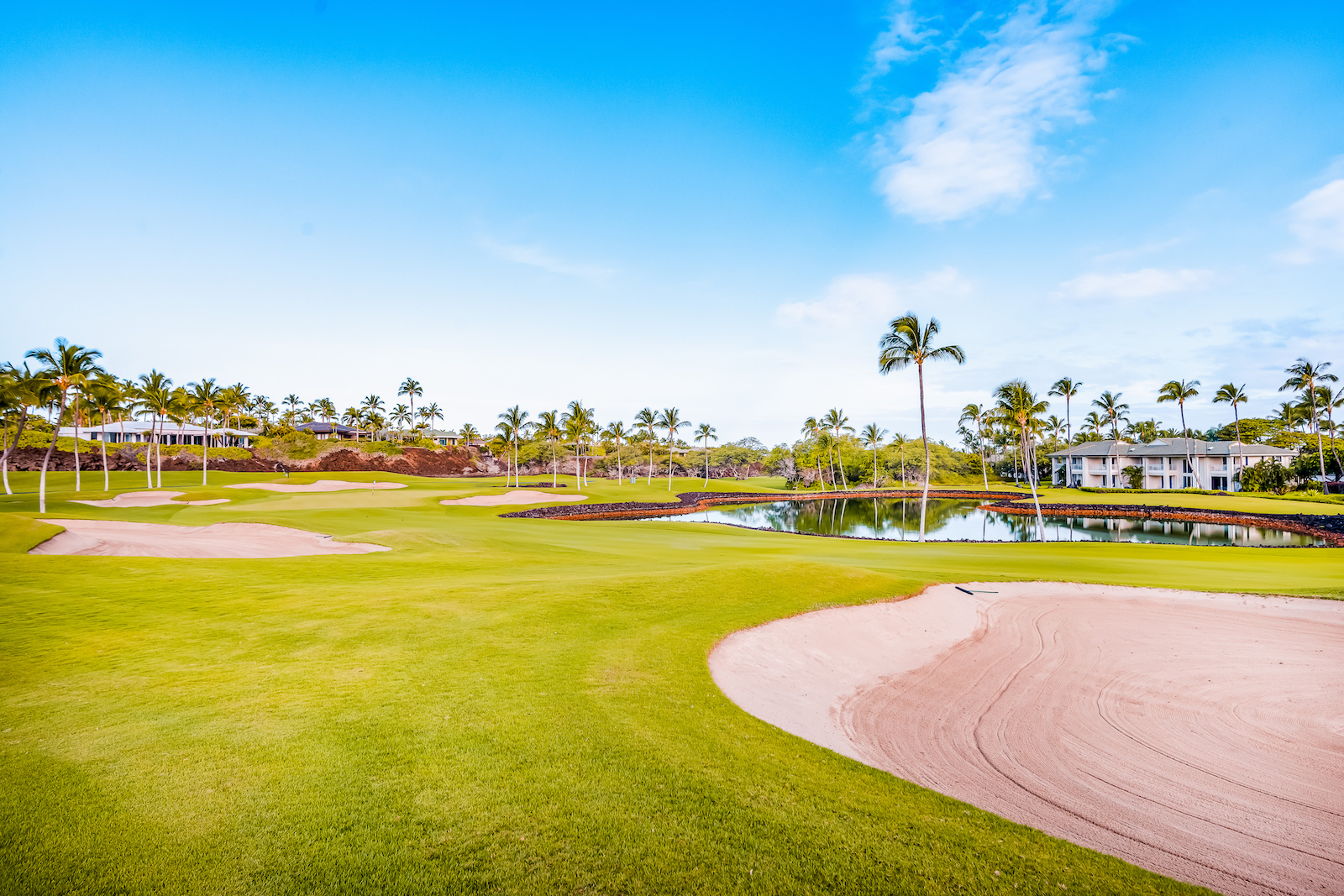The golf course at Waimea, Hi.