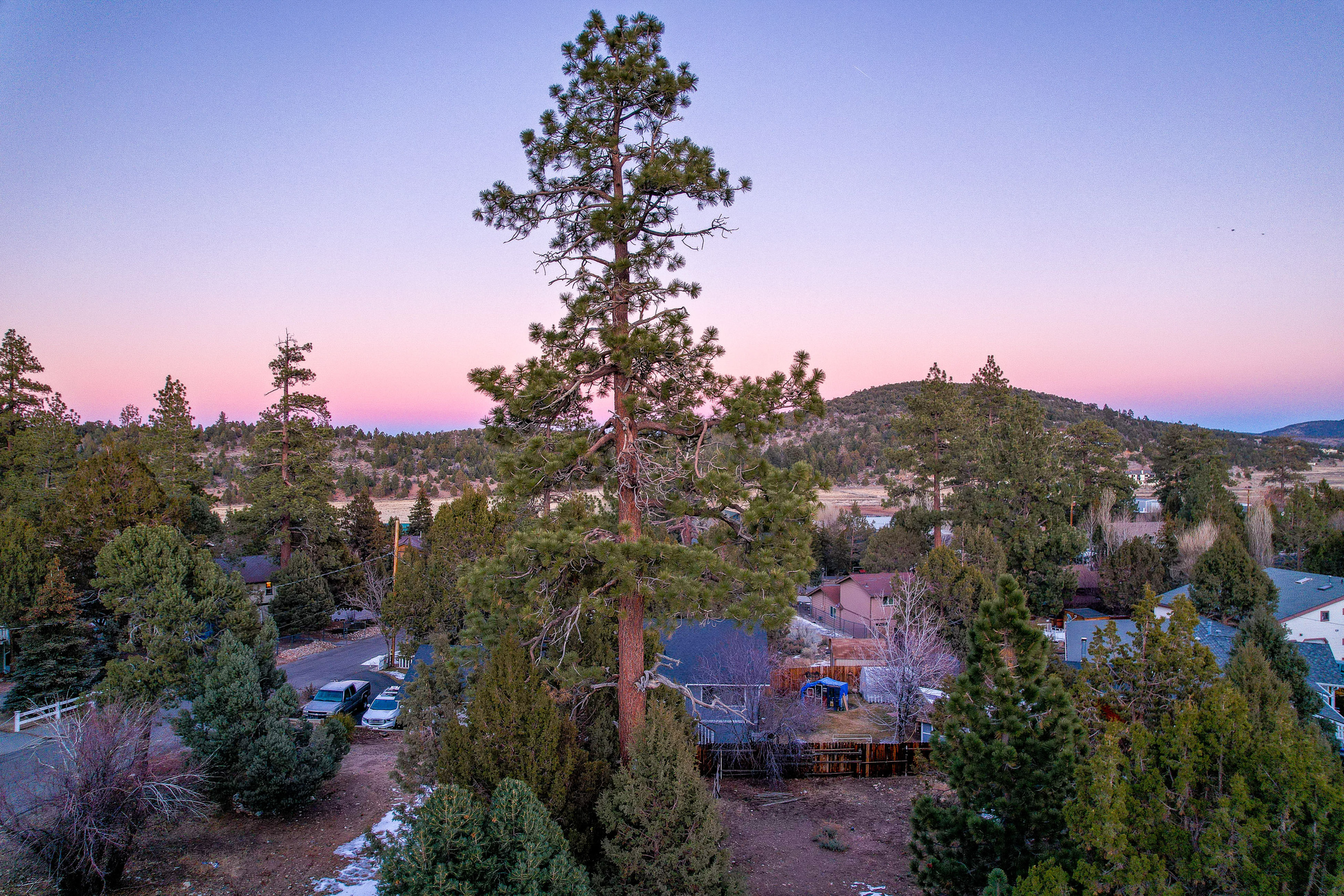 Best cities in the U.S. to celebrate Oktoberfest