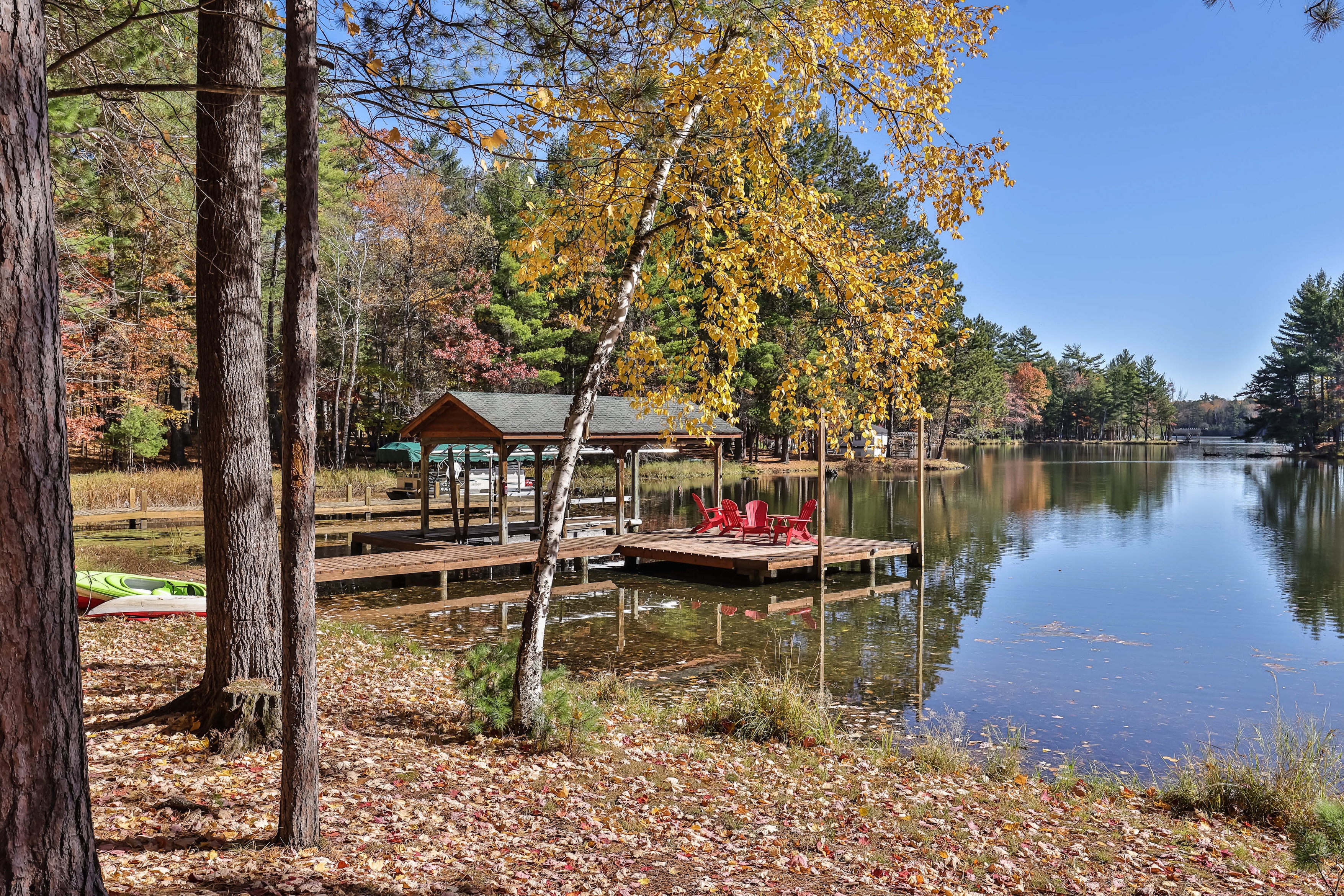 colorful fall leaves pepper the ground near the water with a dock