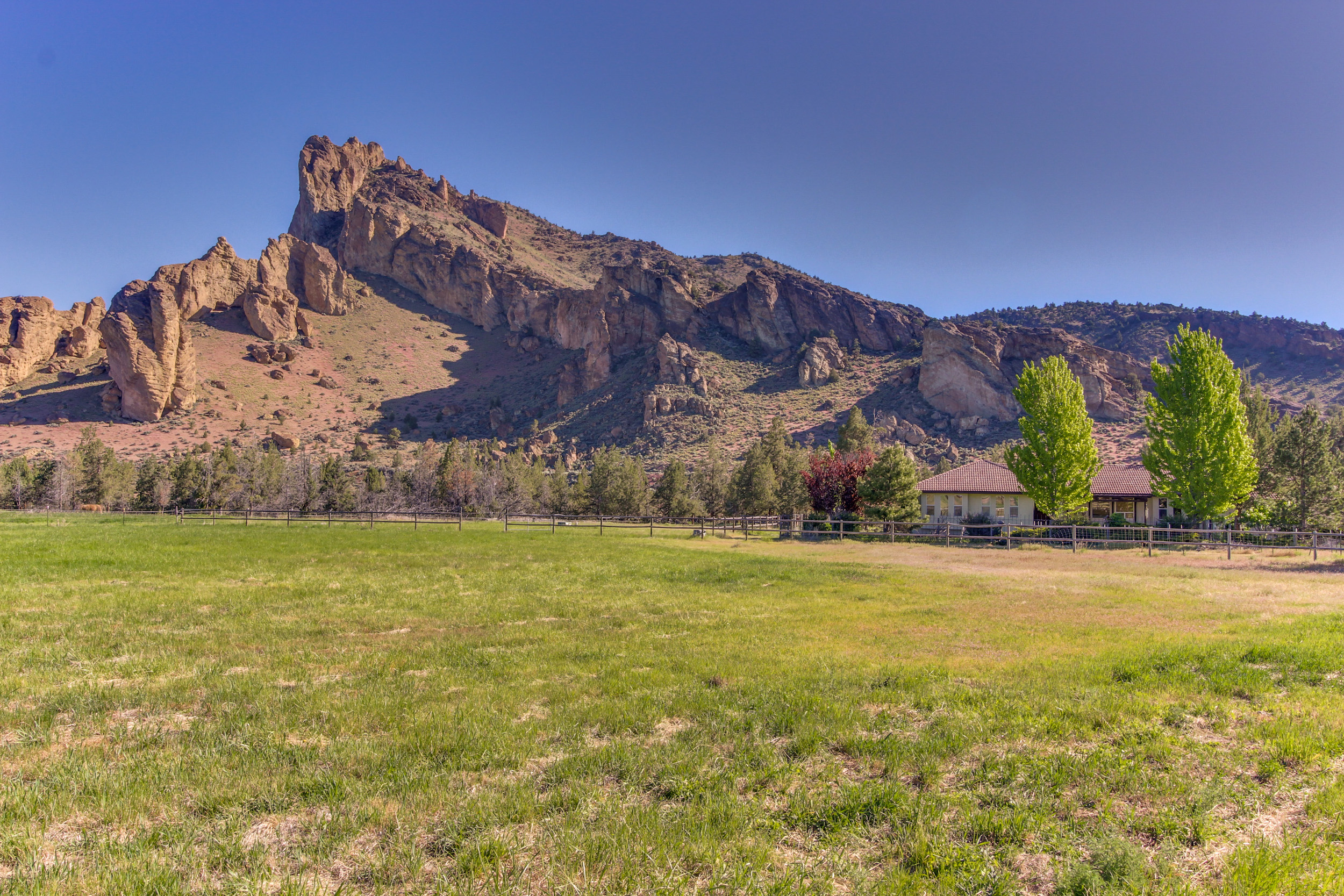 vineyard in terrebonne or