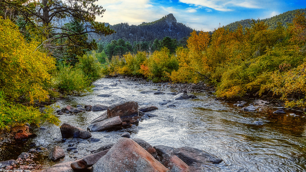 Image of Colorado River surrounded by fall leaves.