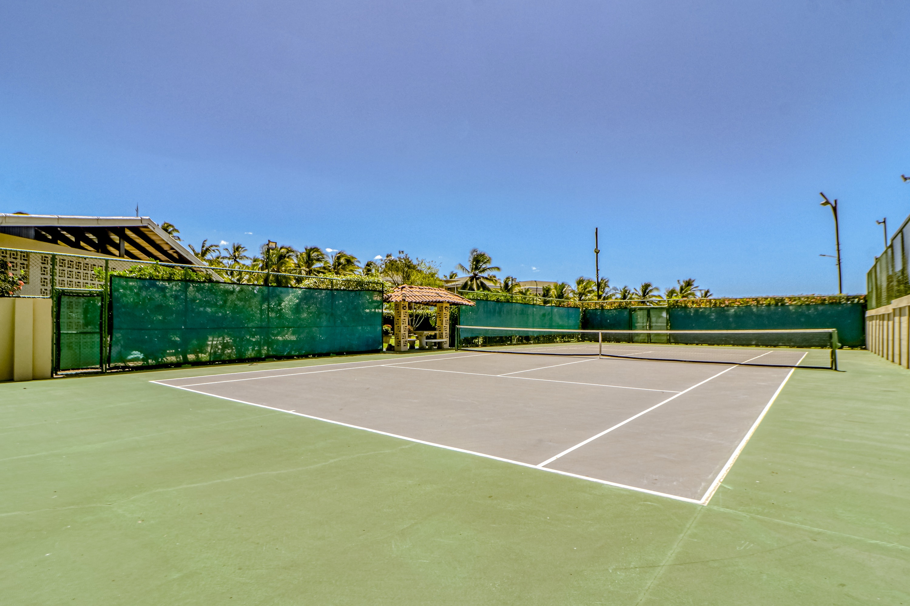 tennis court surrounded by palm trees