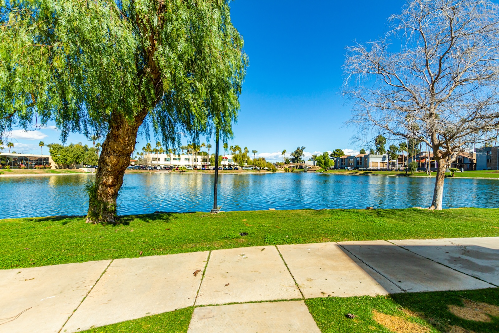 A pond surrounded by condo rentals in Phoenix, AZ.