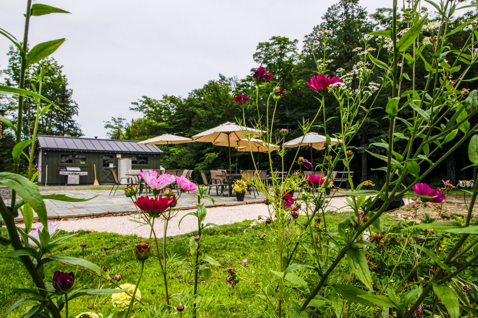 Flowers in the foreground and rec area in the background.