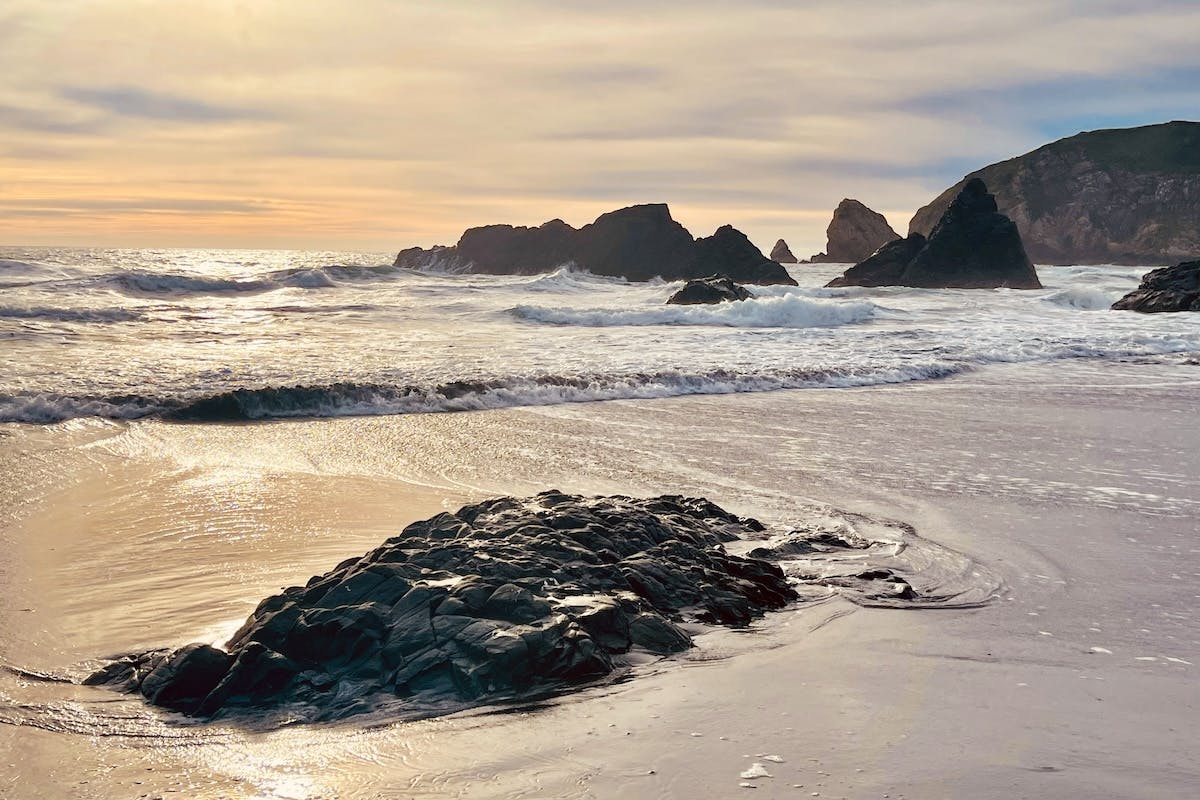 Brookings coastal view in winter