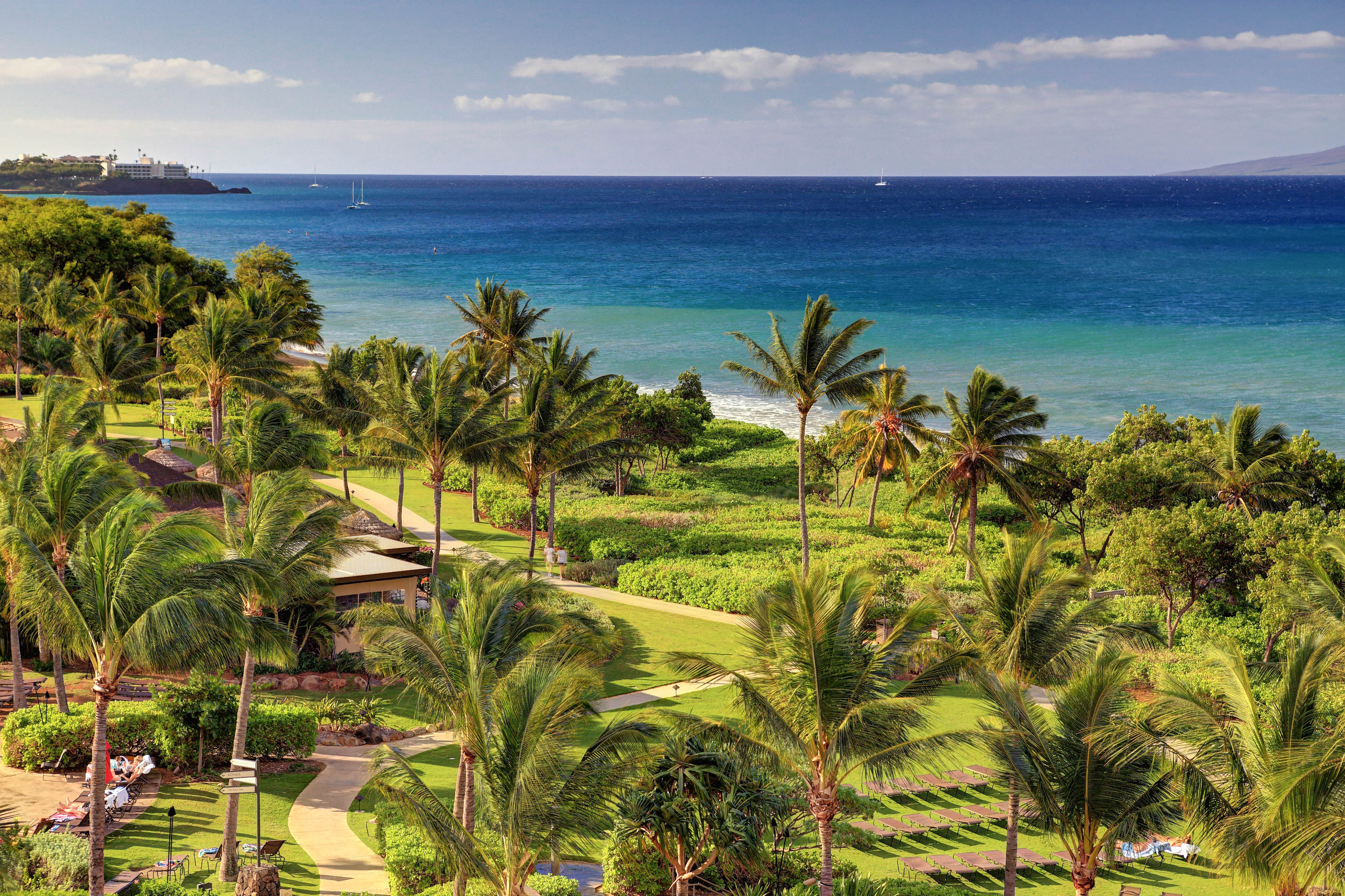 Beachfront resort in Lahaina, HI with palm trees