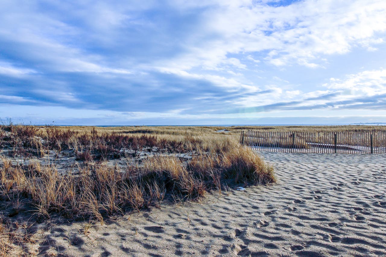 Cape Cod, MA beach