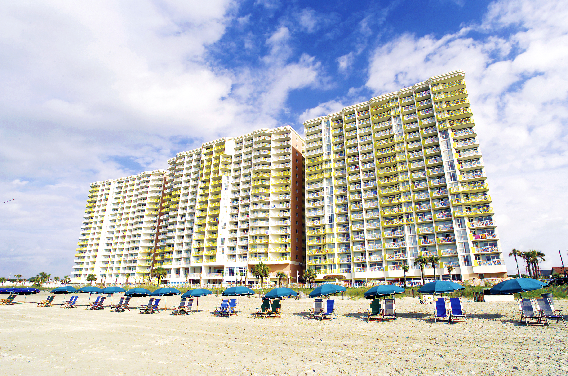 Beach chairs with beach umbrellas lined up along a sandy beach in front of the Bay Watch Resort building