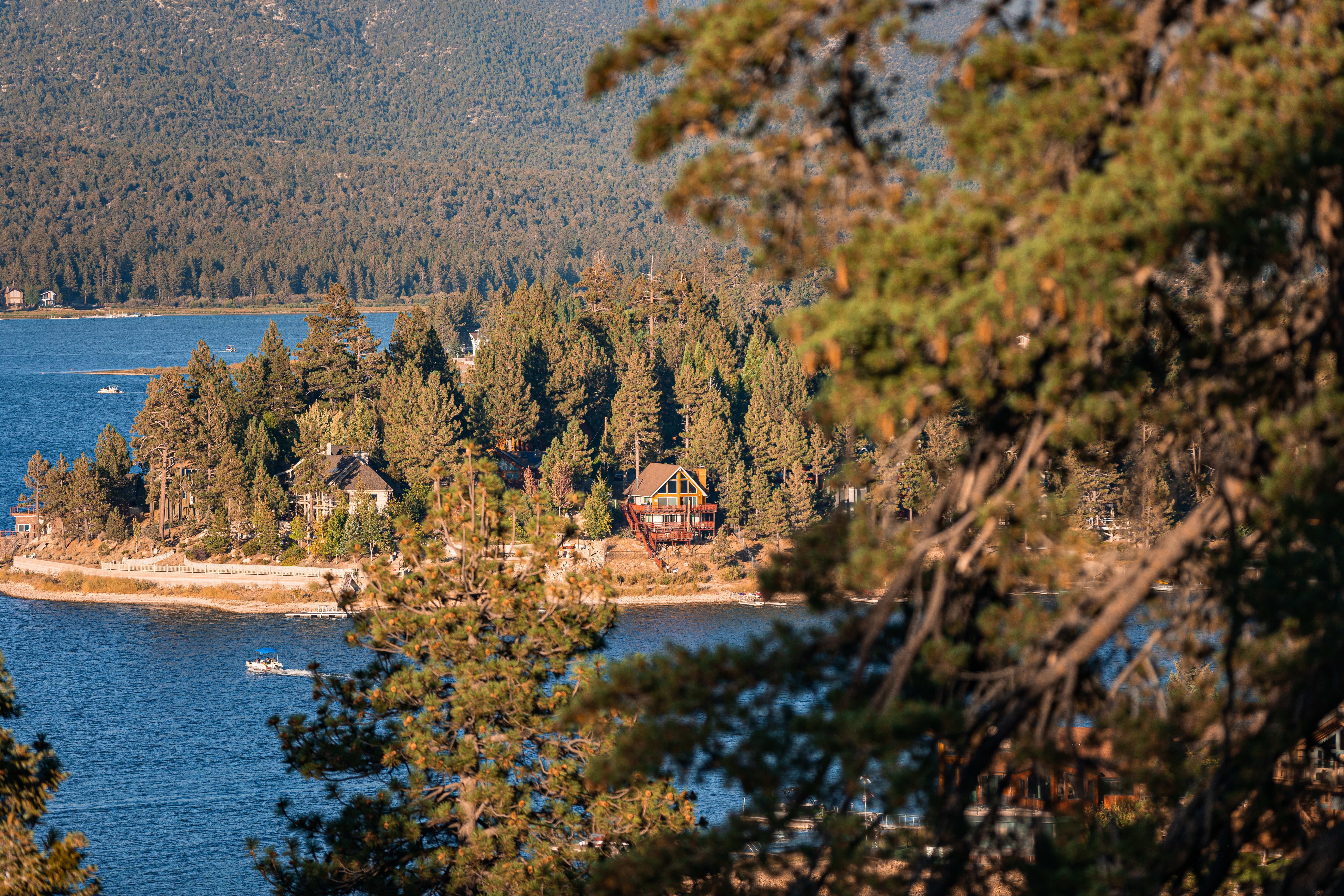 Lakefront vacation homes peeking through a dense forest at Big Bear Lake