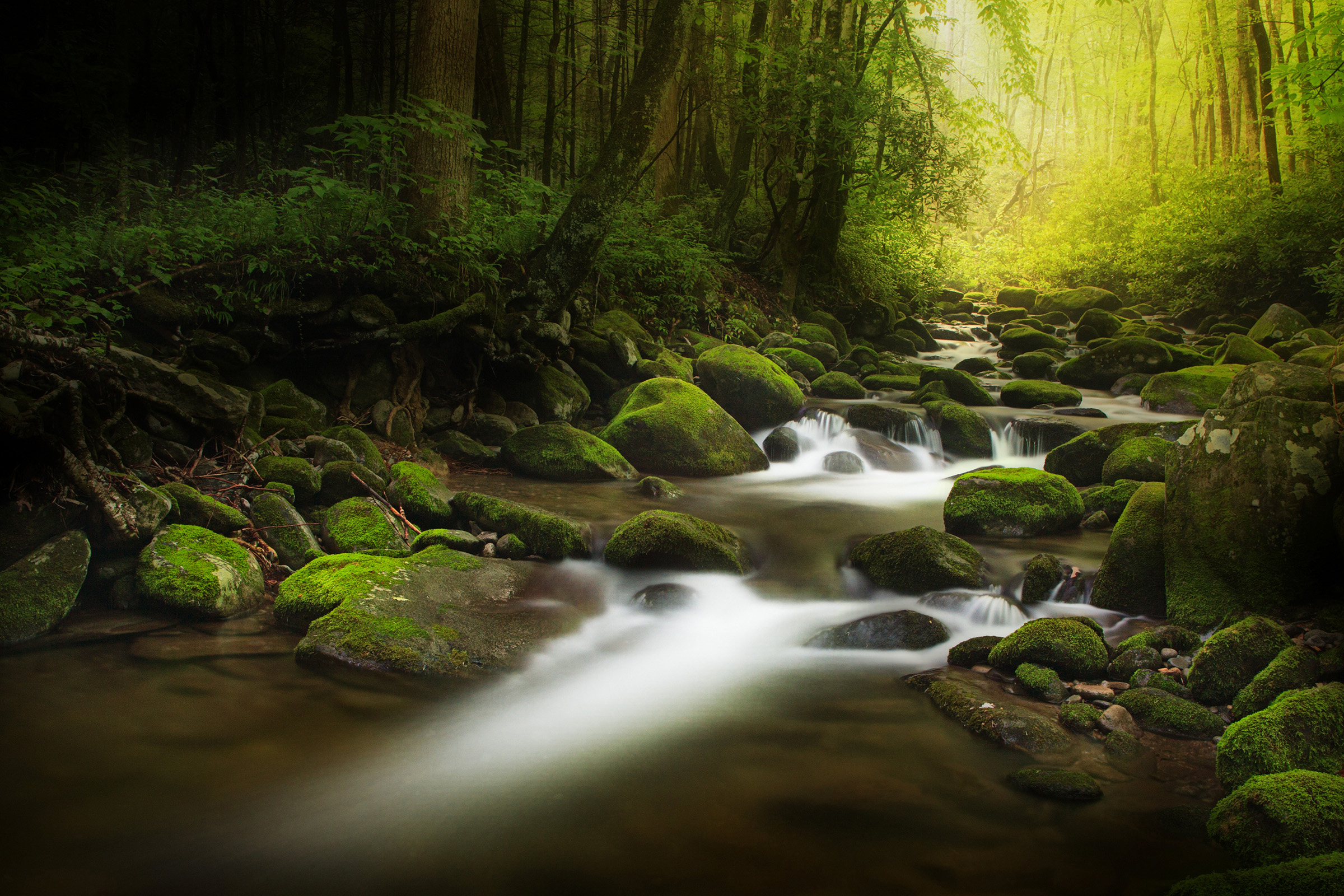 Best things to do in Gatlinburg, TN