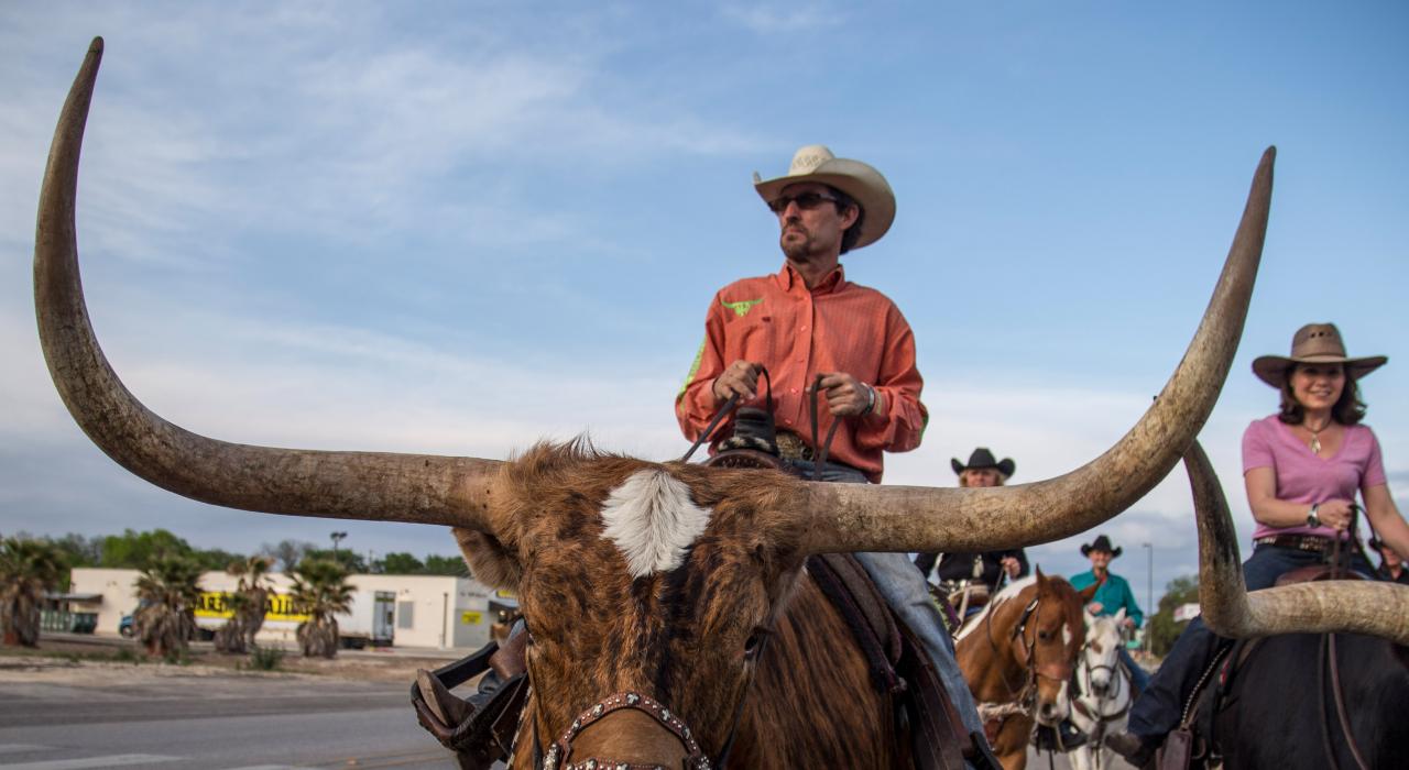 A guy riding a steer in Texas.