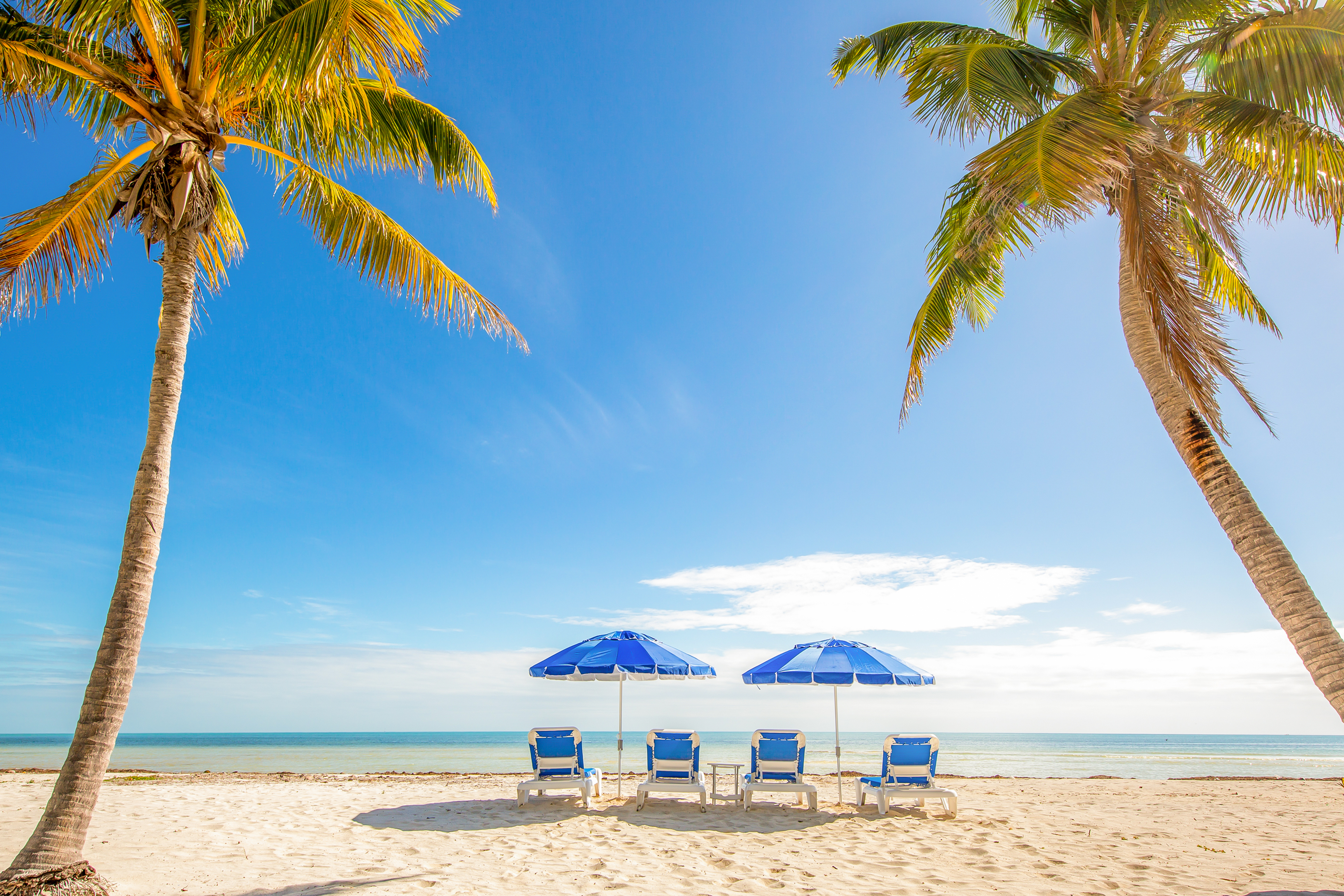 Beach chairs with umbrellas on a beach near an Islamorada, Florida snowbird vacation rental.