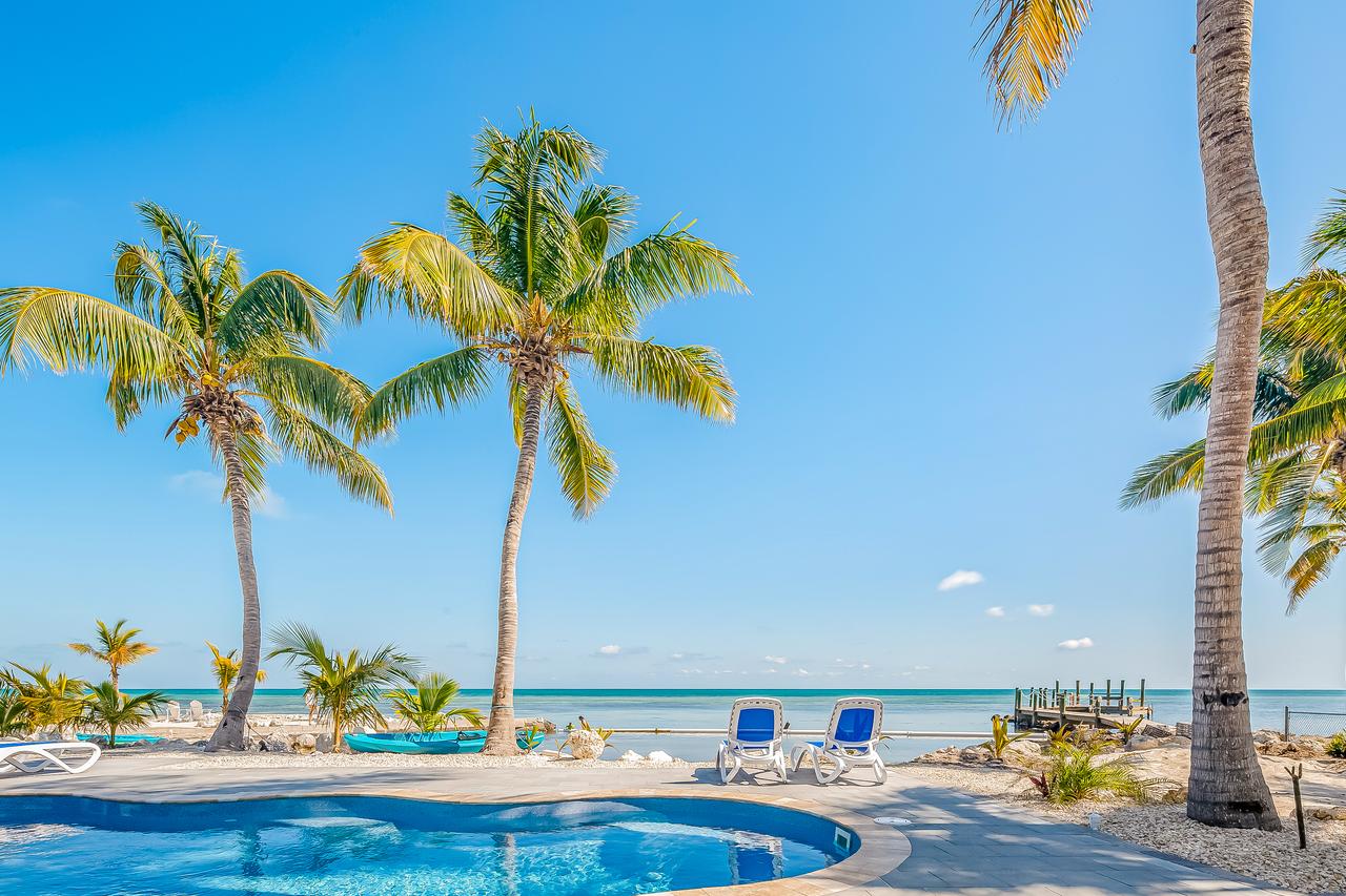 palm trees surround a pool with beach access and a dock