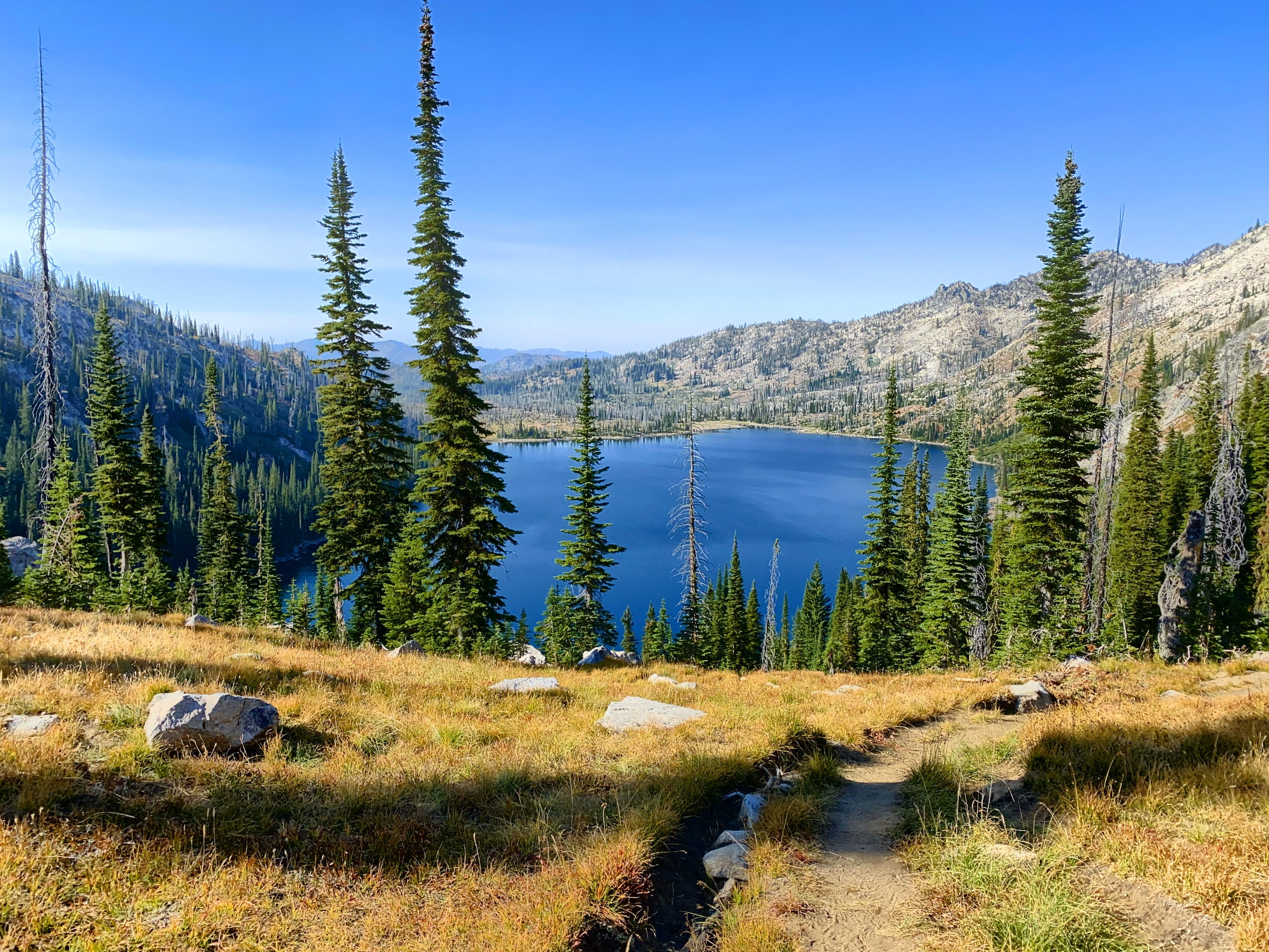 A view of a lake from a forest trail during the day in McCall, ID.