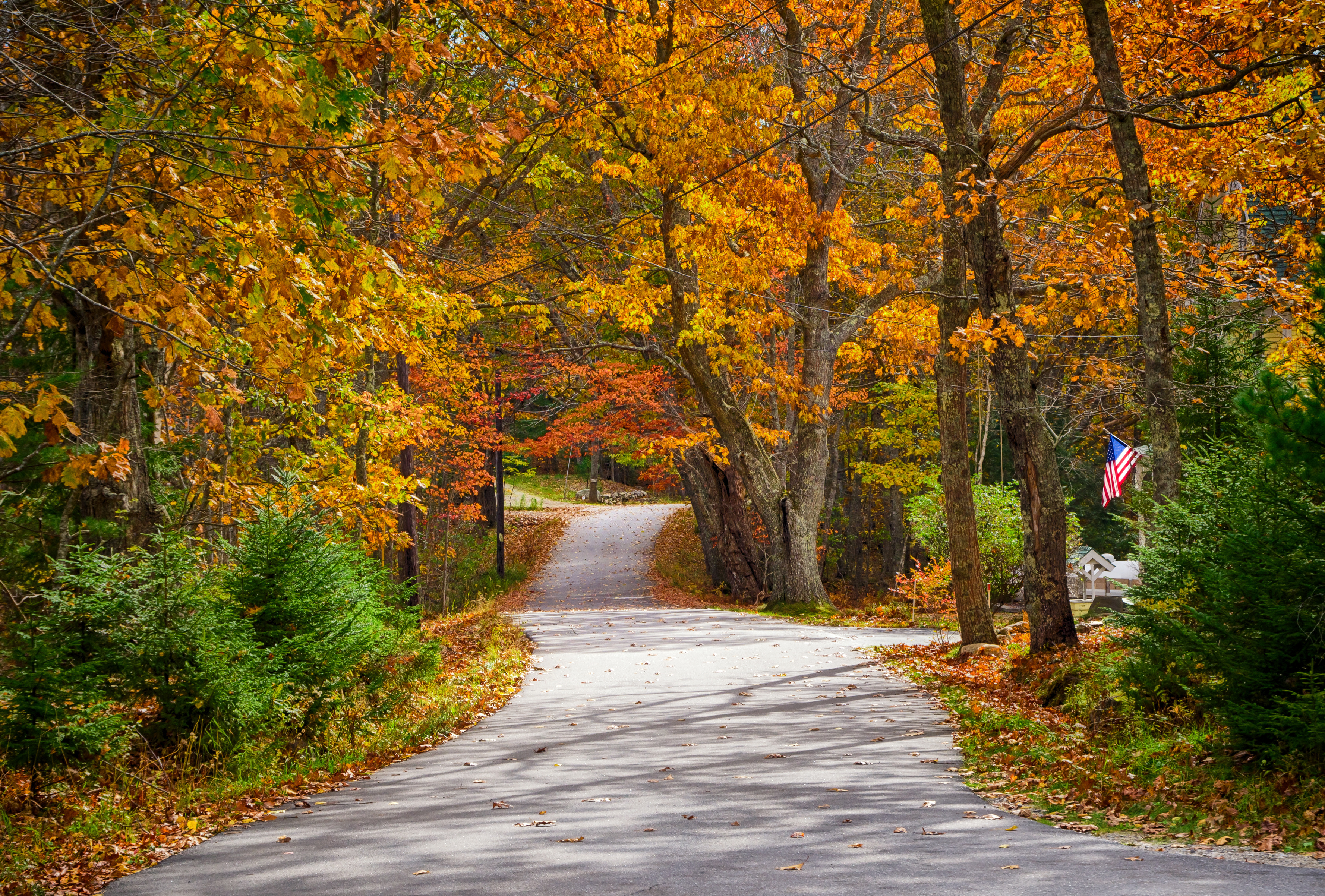 a windy road in new england surrounded by fall leaves