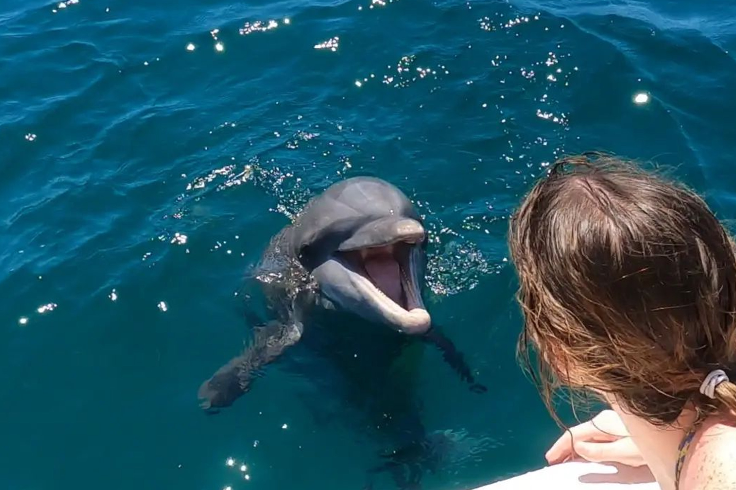 Panama City Beach City Guide: Things to do with kids