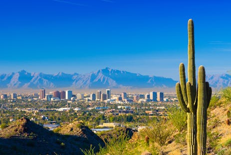 The view of Phoenix, Arizona's cityscape with mountains in the background and a cactus in the foreground.