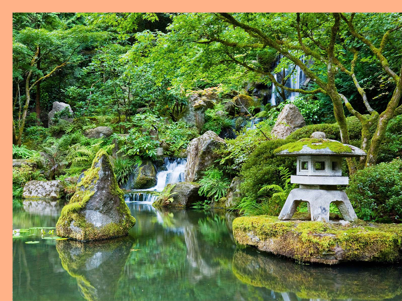 greenery in Portland's Japanese Garden