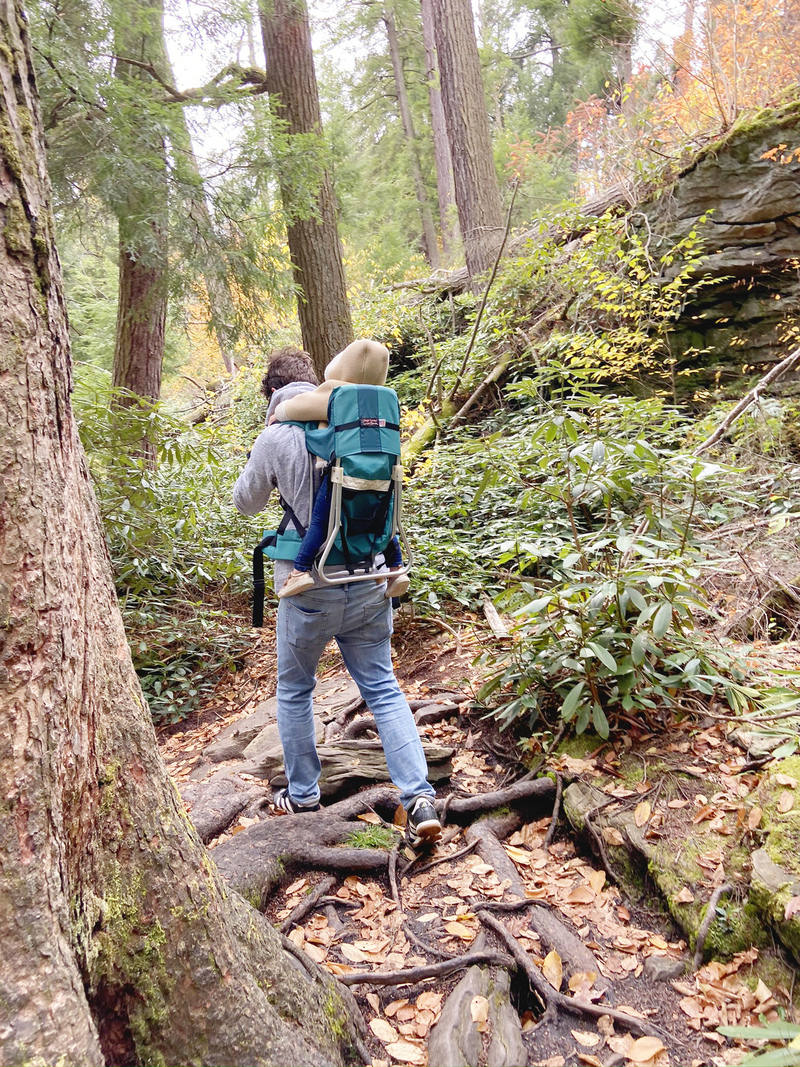 parent hiking with a child in the forest