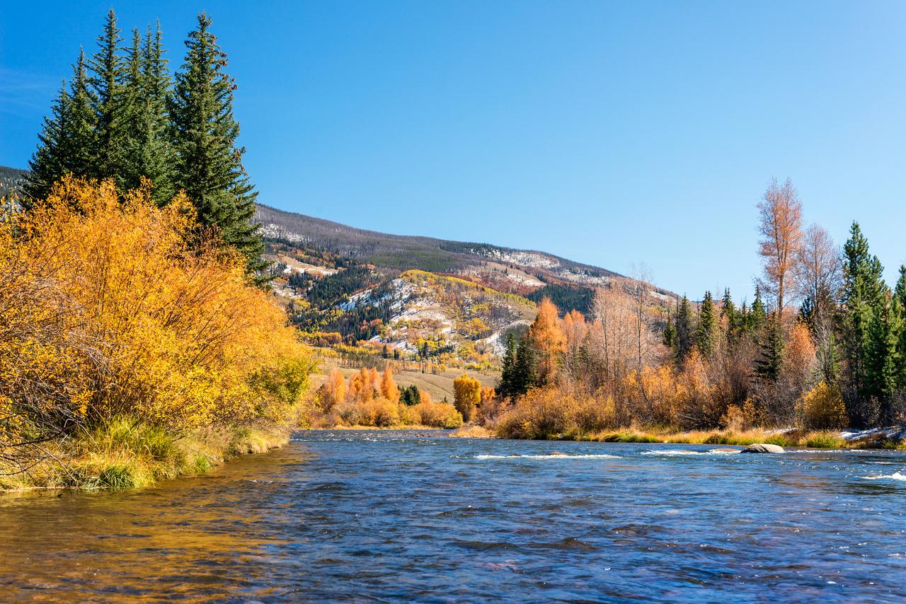 bright golds and greens of fall leaves surround a river with a gently sloping mountain in the background