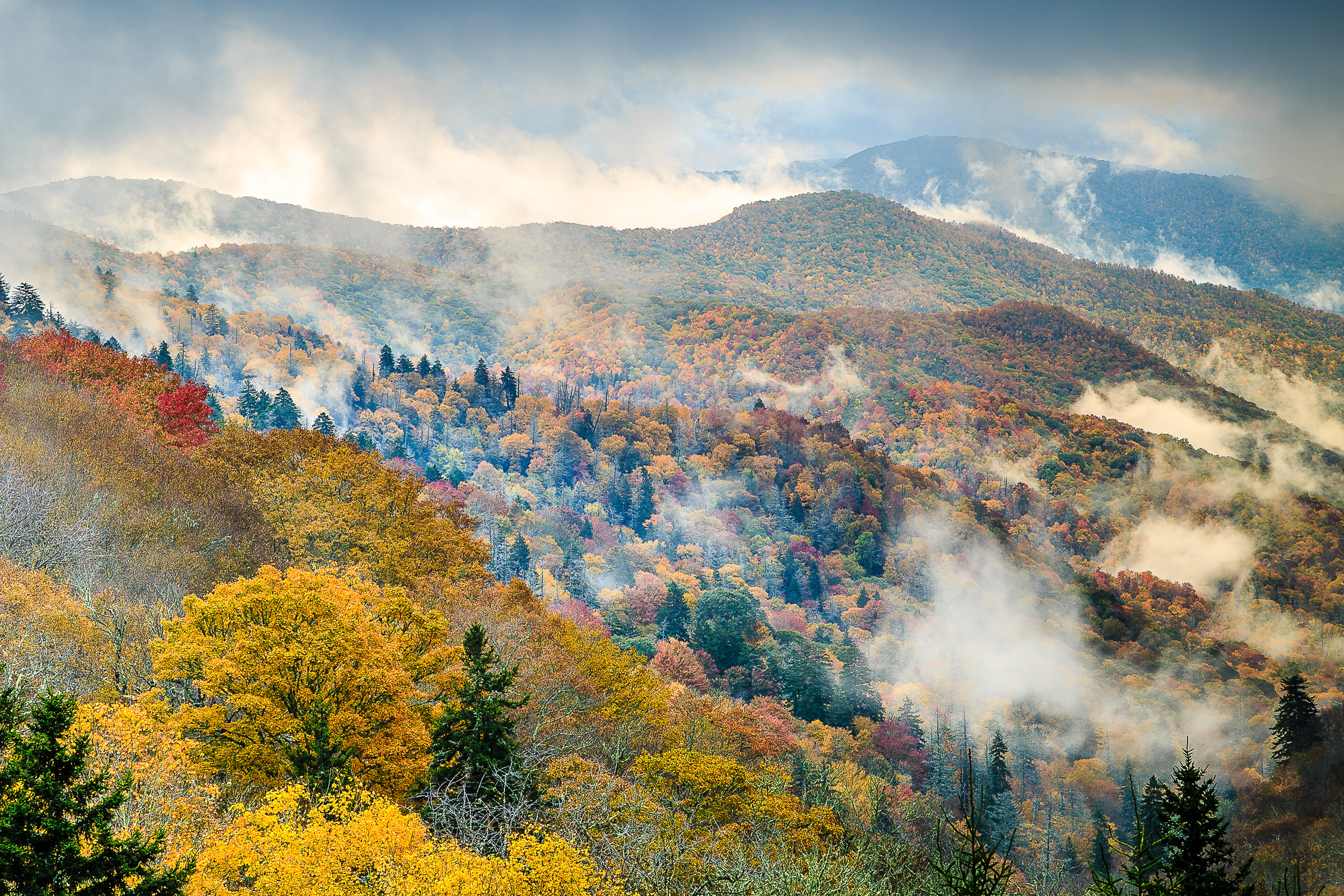 Mountain landscape with autumn colored trees with fog in the Smoky Mountains.
