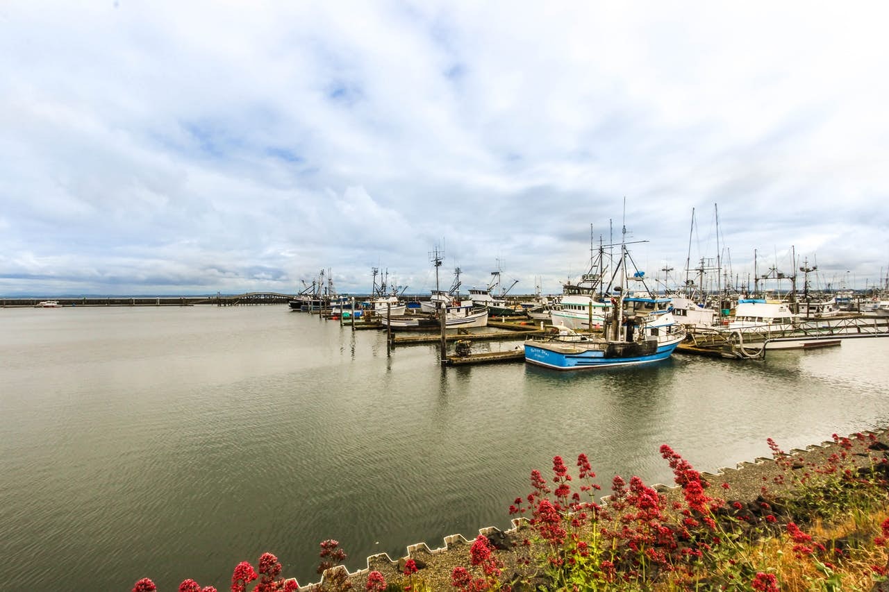 7 Washington Coastal Towns You Have to Visit  Vacasa