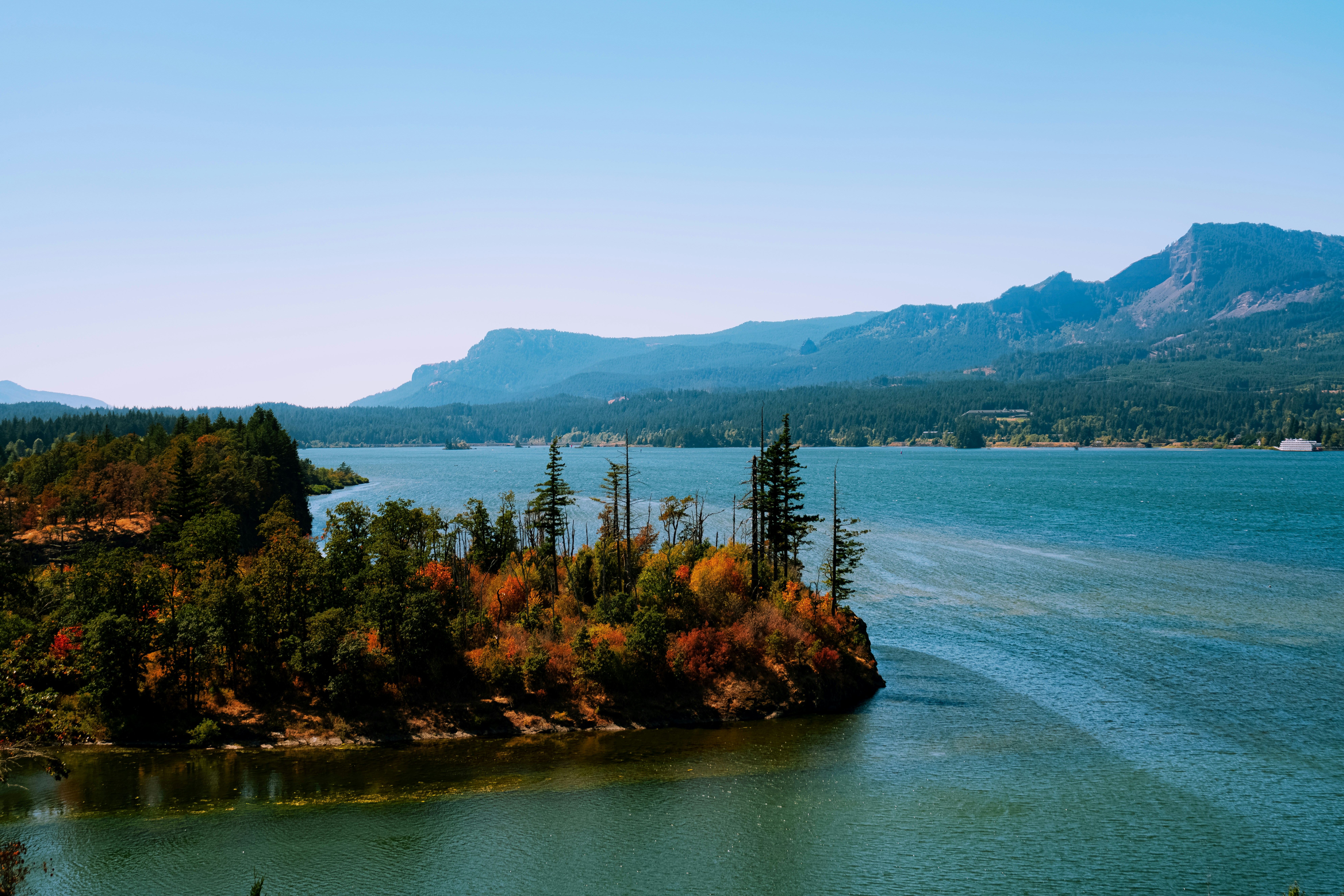 the leaves change color in the trees surrounding the columbia river gorge