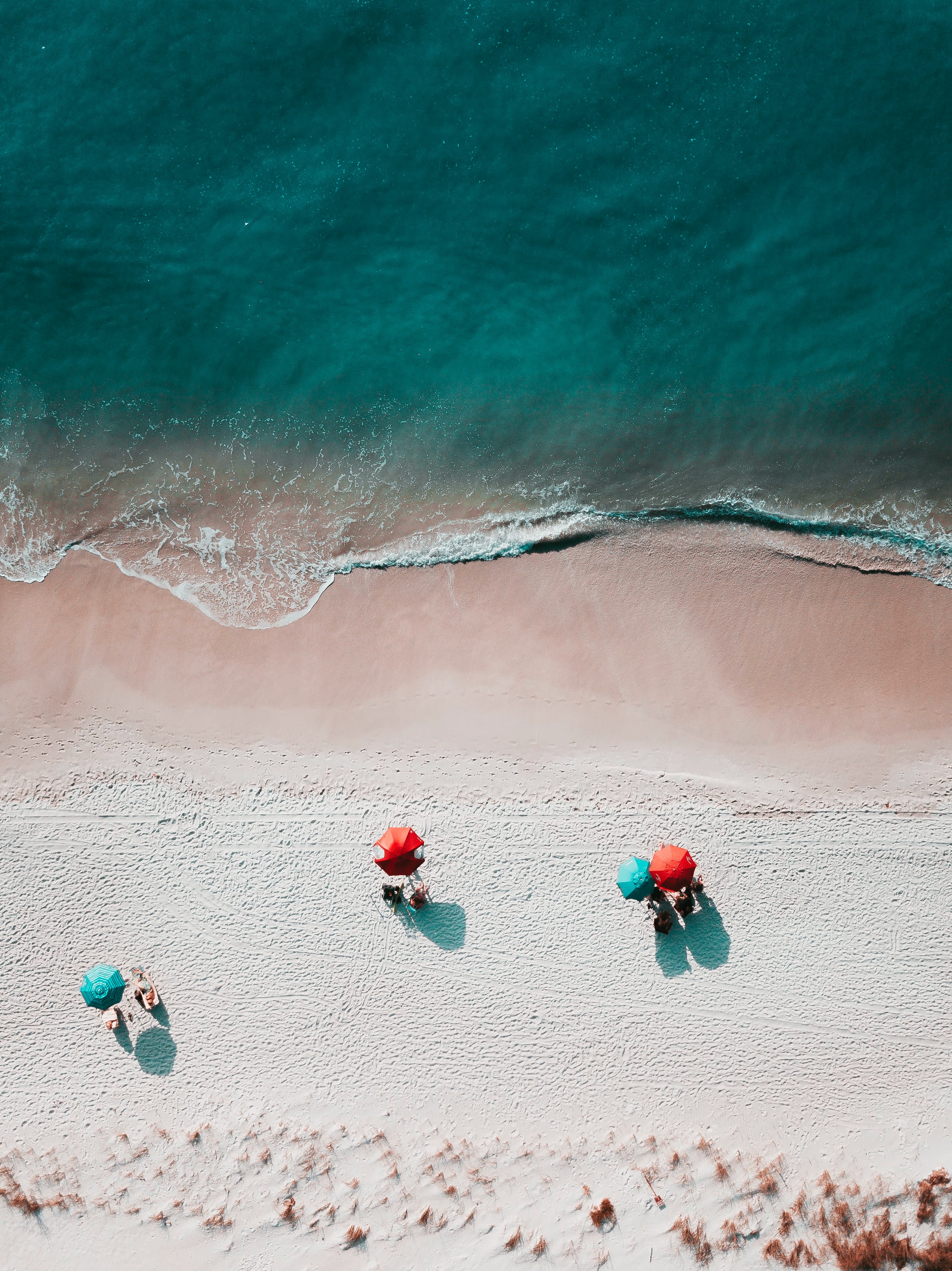 People on a beach overlooking a blue ocean.