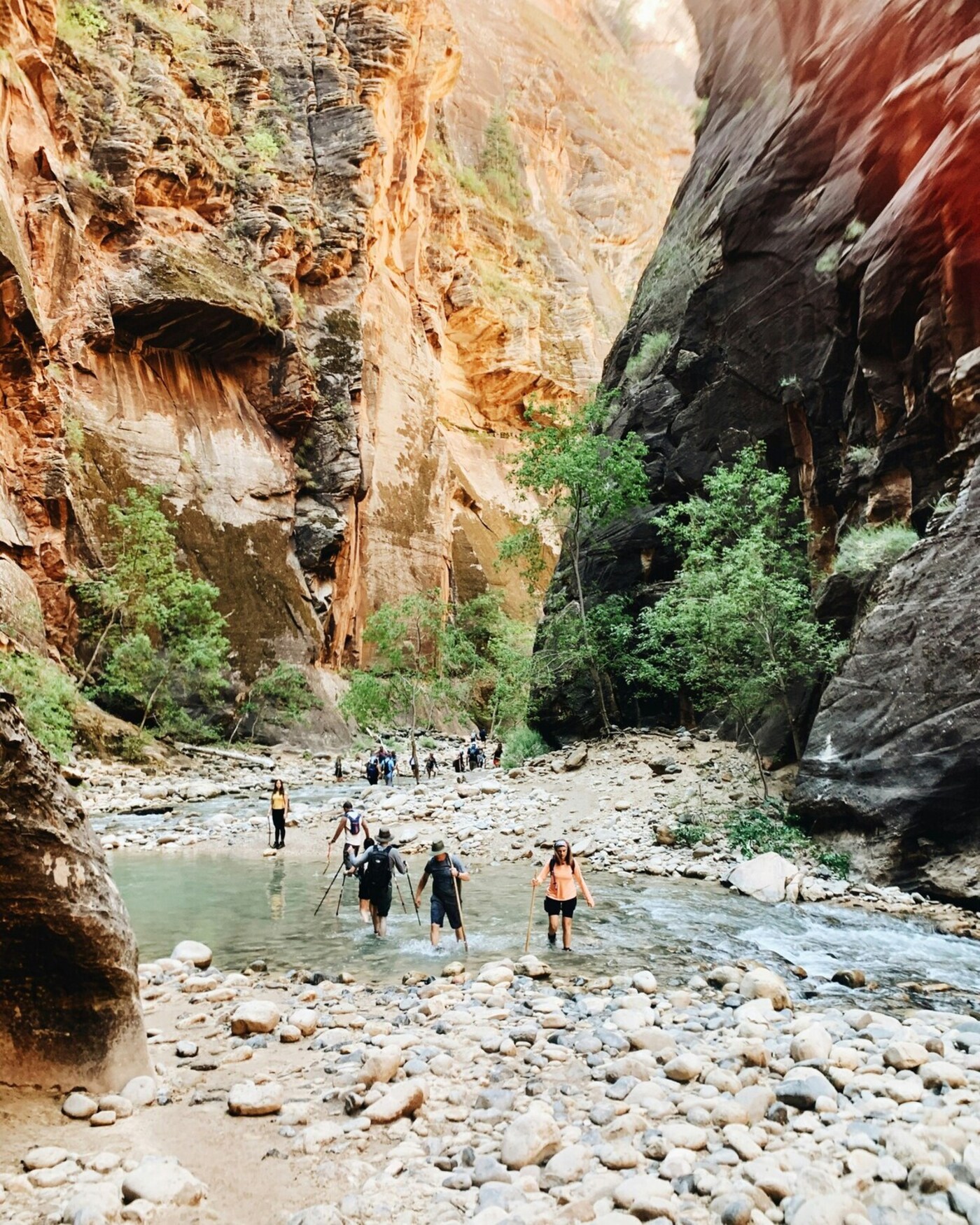 people hiking through a water crossing in a canyon at Zion National Park