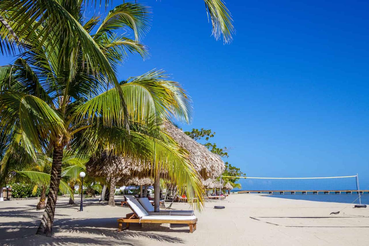 A beach in Belize with chairs and a volleyball net.