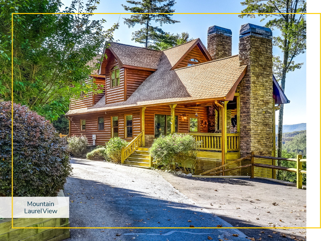 Driveway to the front of a cabin in the woods.