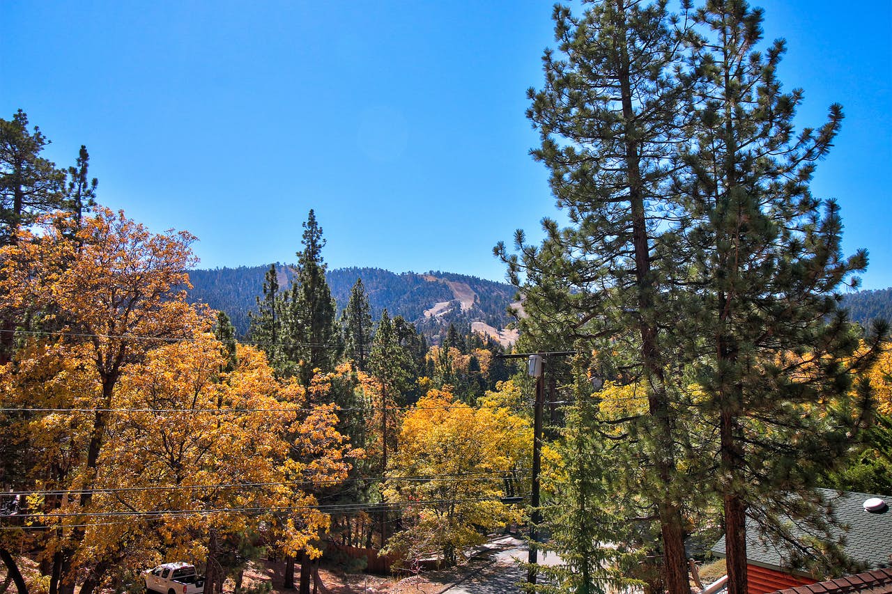 Pine trees surround beautiful Big Bear, CA
