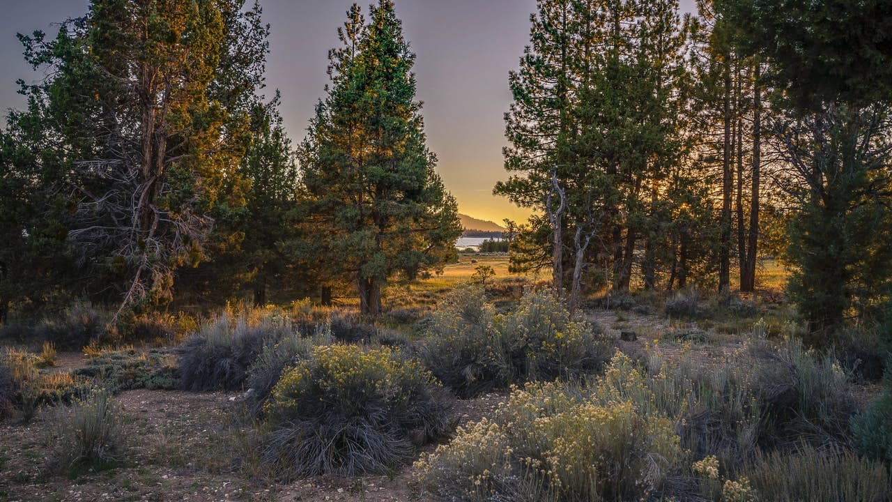 Top 8 Things to Do in Big Bear This Summer | Vacasa