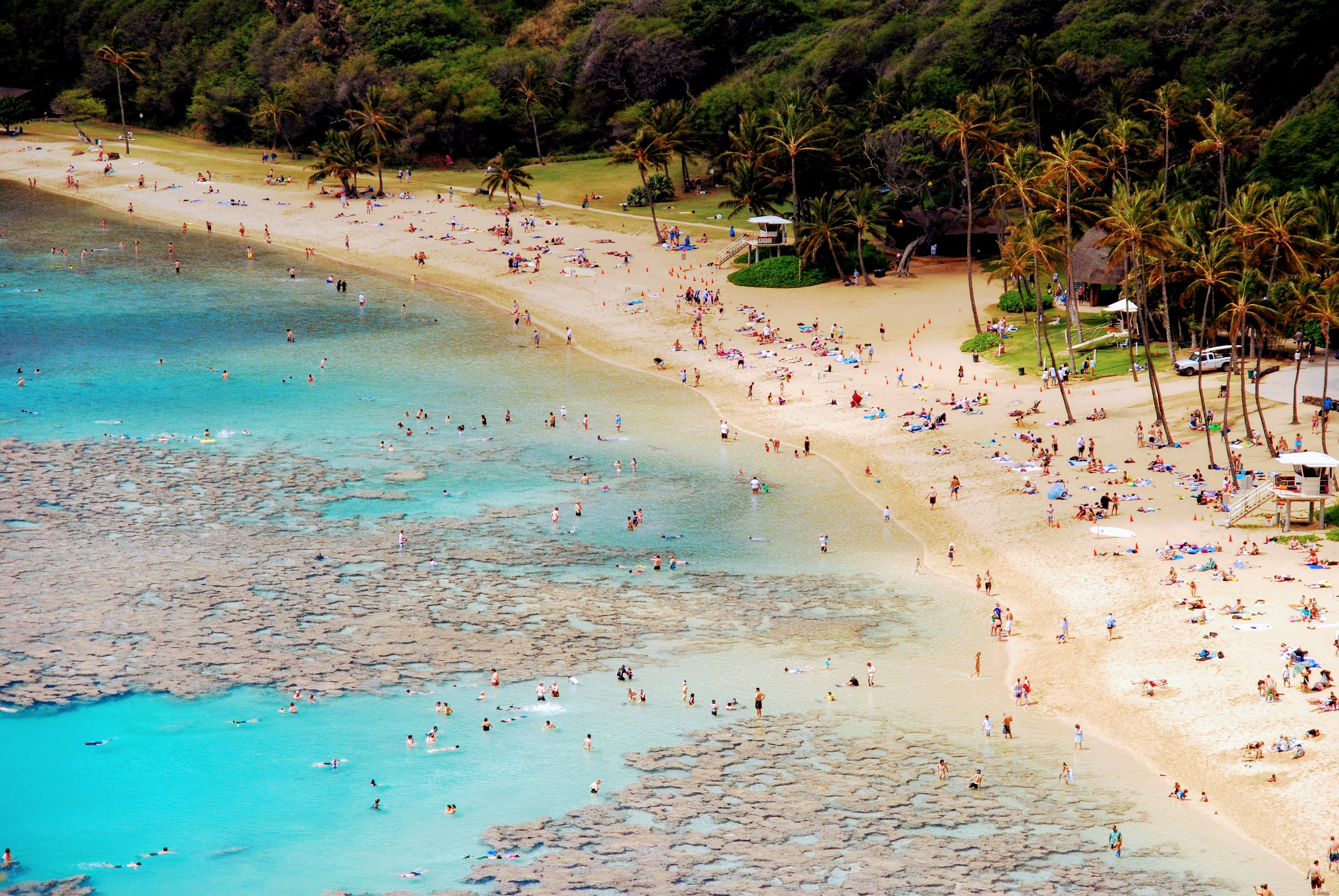 People at a beach in Hawaii swimming.
