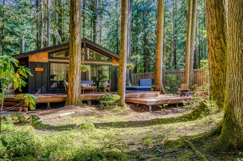 cozy cabin in the forests of mount hood