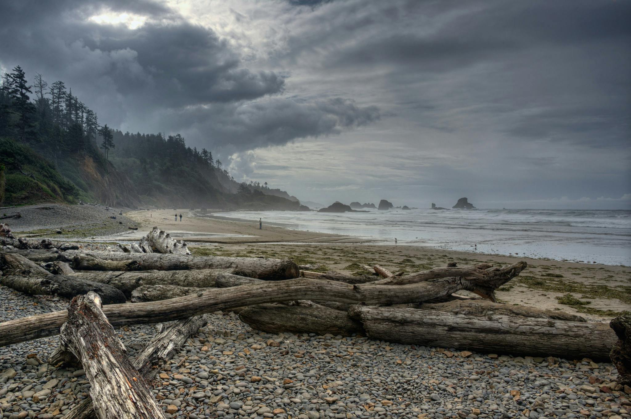 Our Favorite Hiking Spots Near Cannon Beach Vacasa Logs Washed As On Indian Beach
