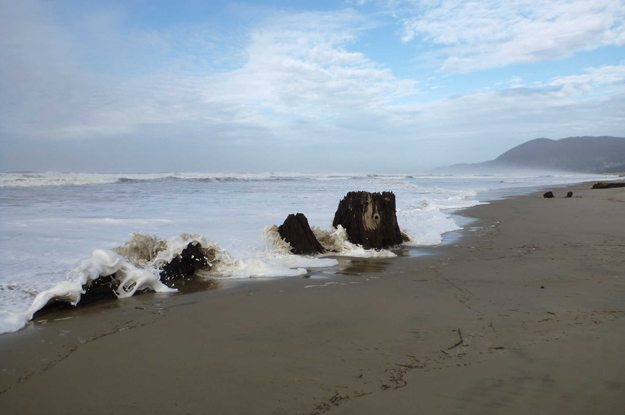 stumps on the beach being covered by the incoming surf.