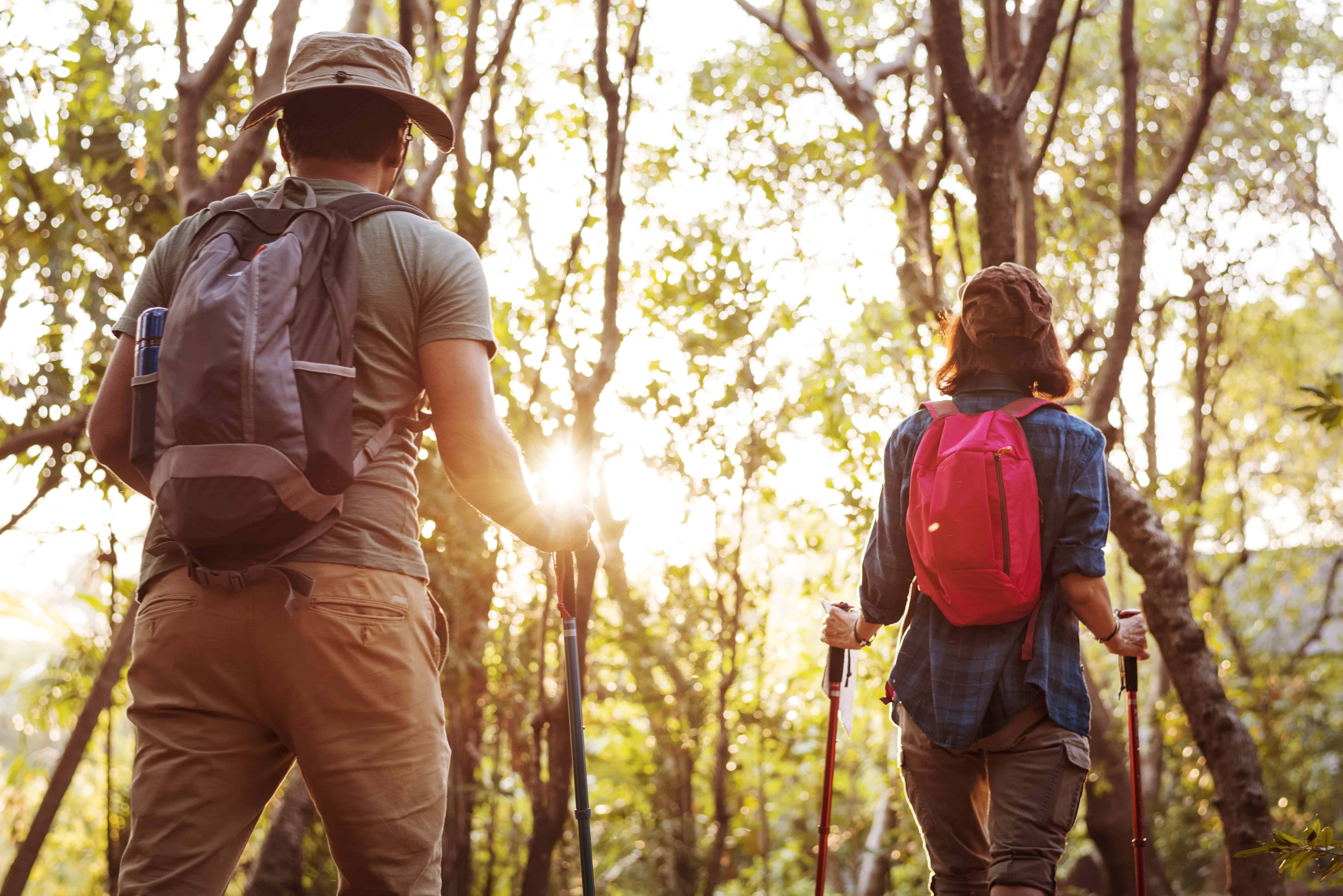 two hikers in the forest with the sun shining between the trees
