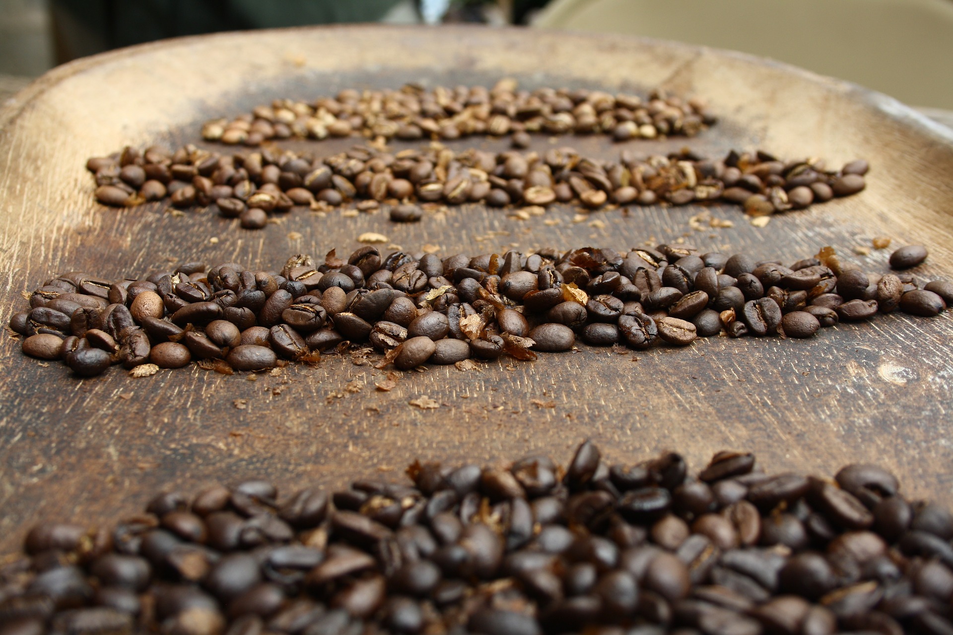 Coffee beans on wooden tray
