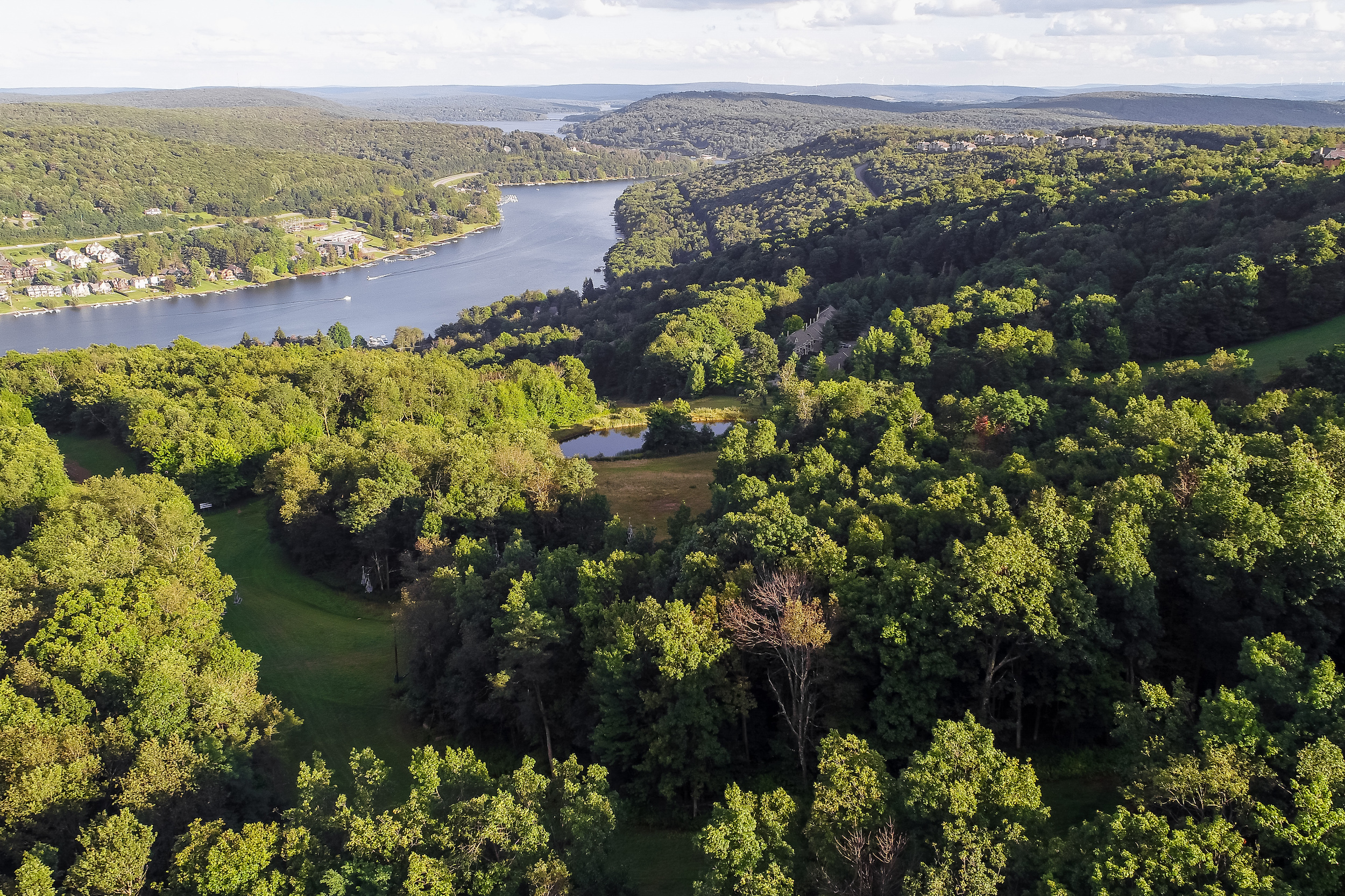 deep creek lake surrounded by forests