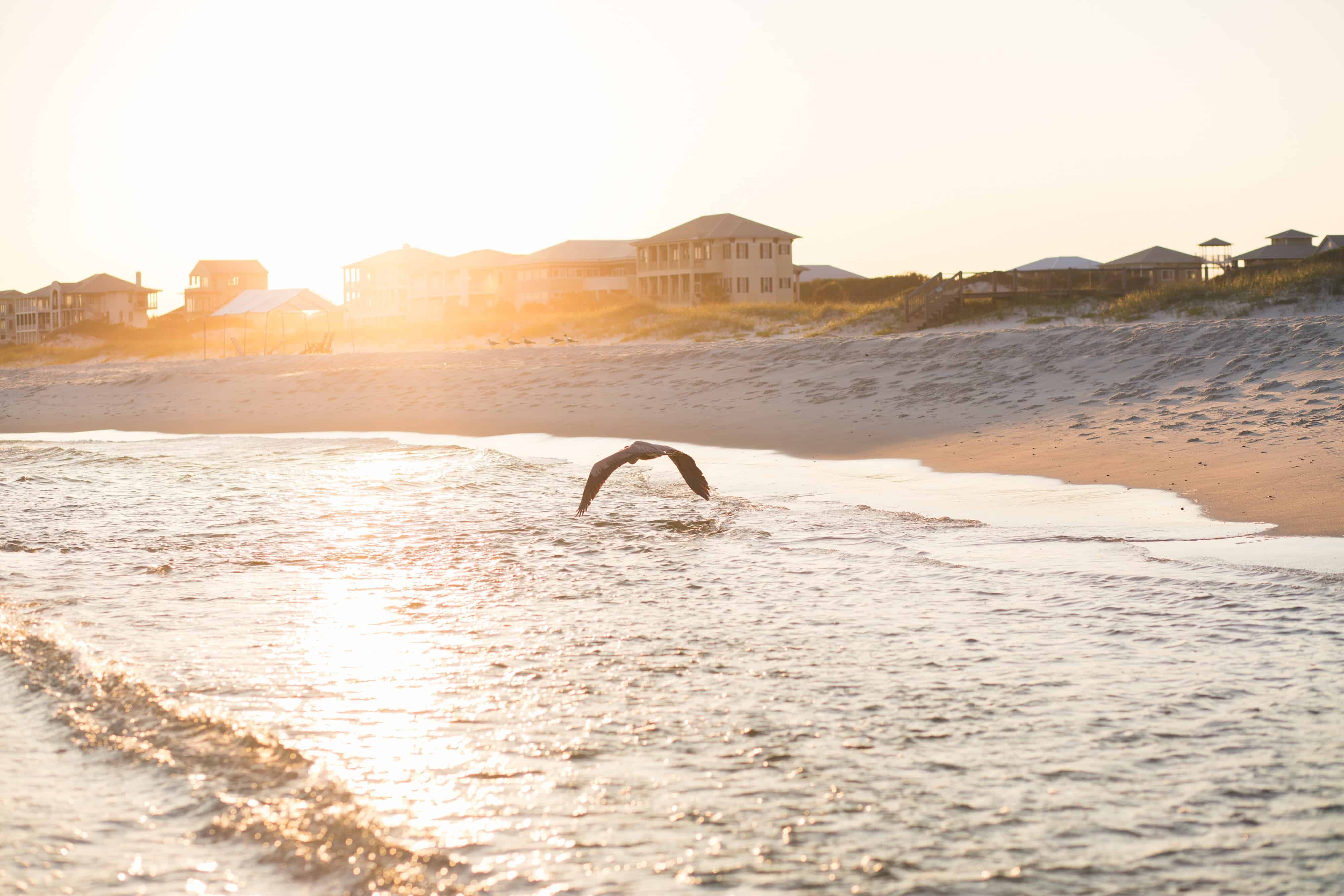 a bird flies over high tide in Gulf Shores