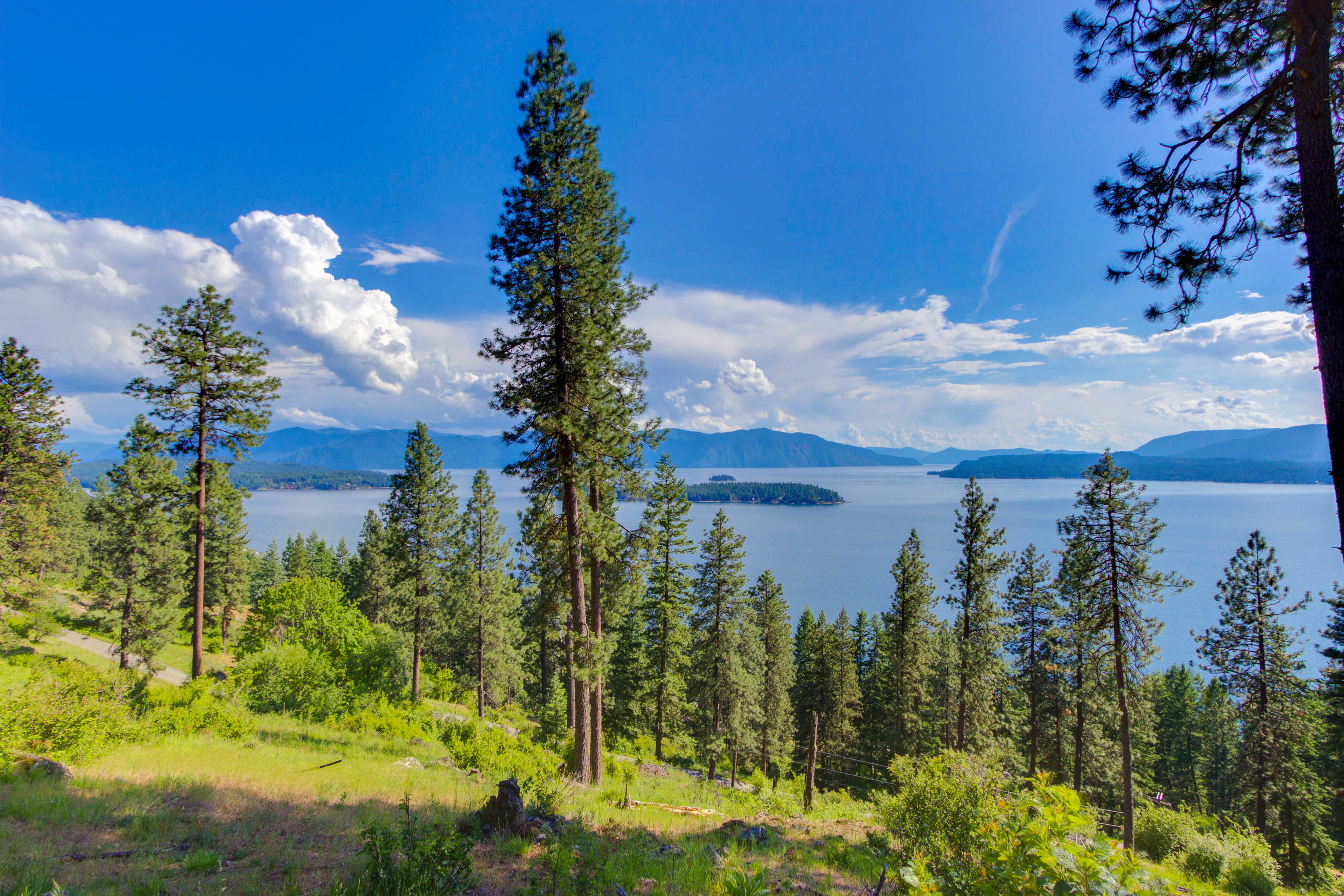Green forest and a blue lake with an island in Idaho.